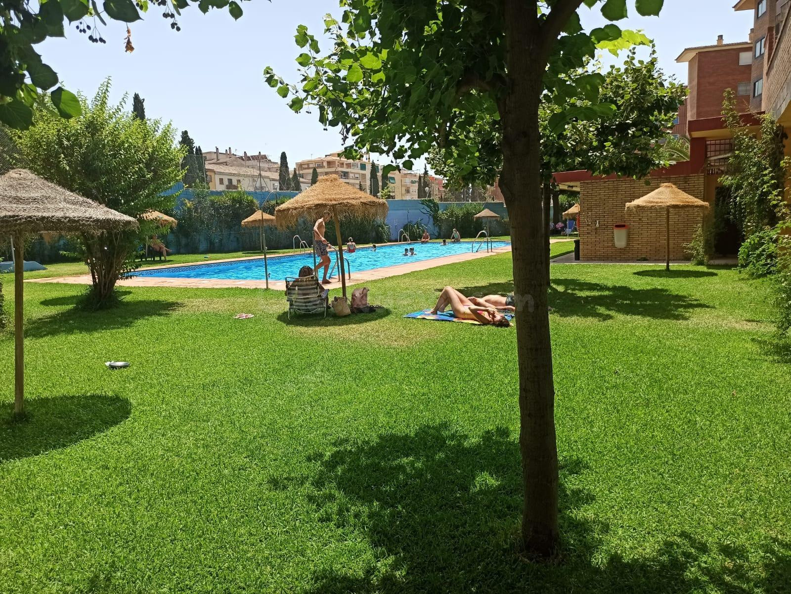 PARA ESTUDIENTES PISAZO CON PISCINA COMUNITARIA AJARDINADA E - foto 3