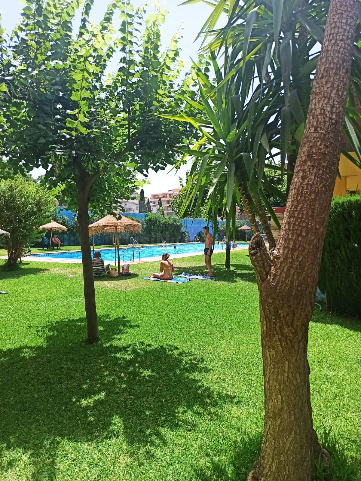 PARA ESTUDIENTES PISAZO CON PISCINA COMUNITARIA AJARDINADA E - foto 4