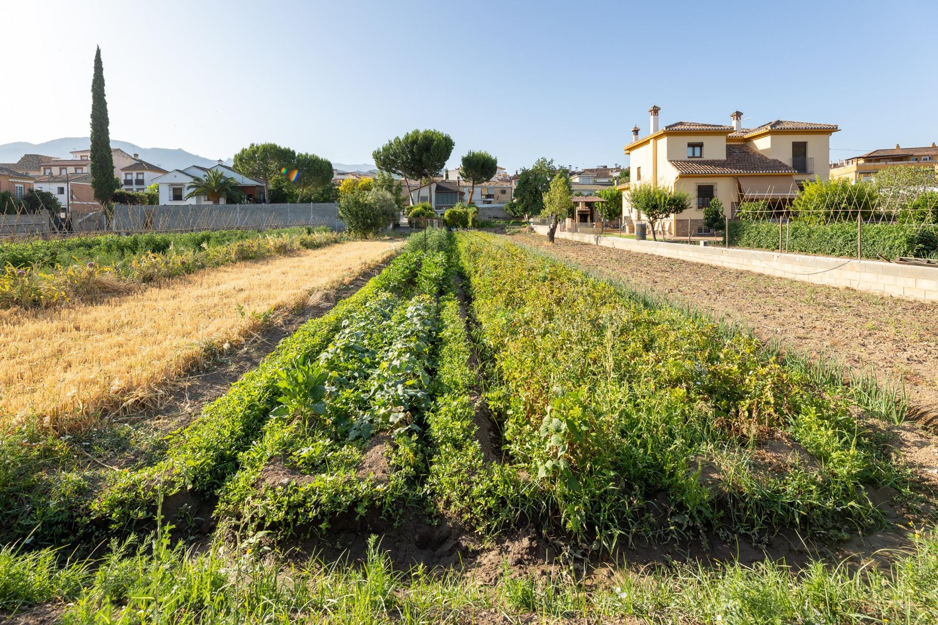 TERRENO URBANO 1060m EN LA ZUBIA