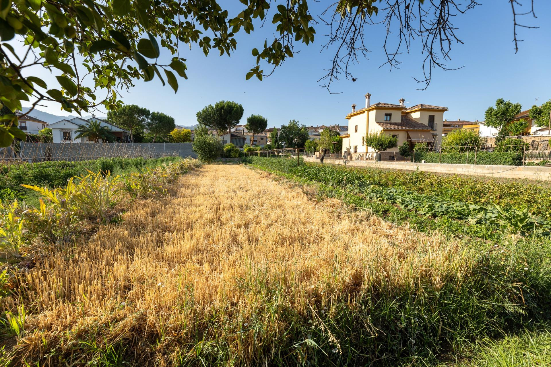 TERRENO URBANO 1060m EN LA ZUBIA - foto 4