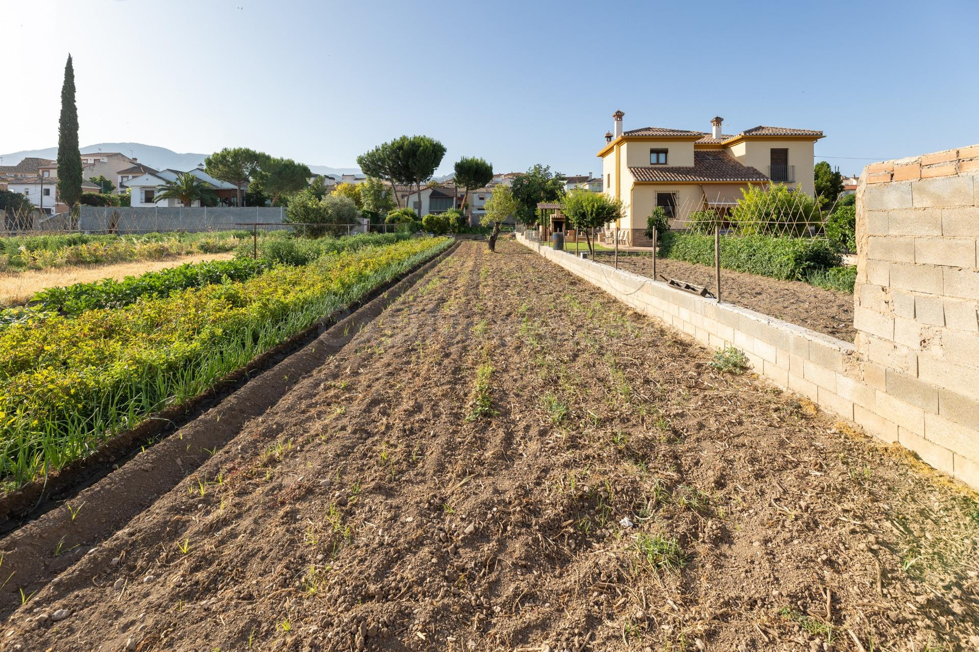 TERRENO URBANO 1060m EN LA ZUBIA - foto 5