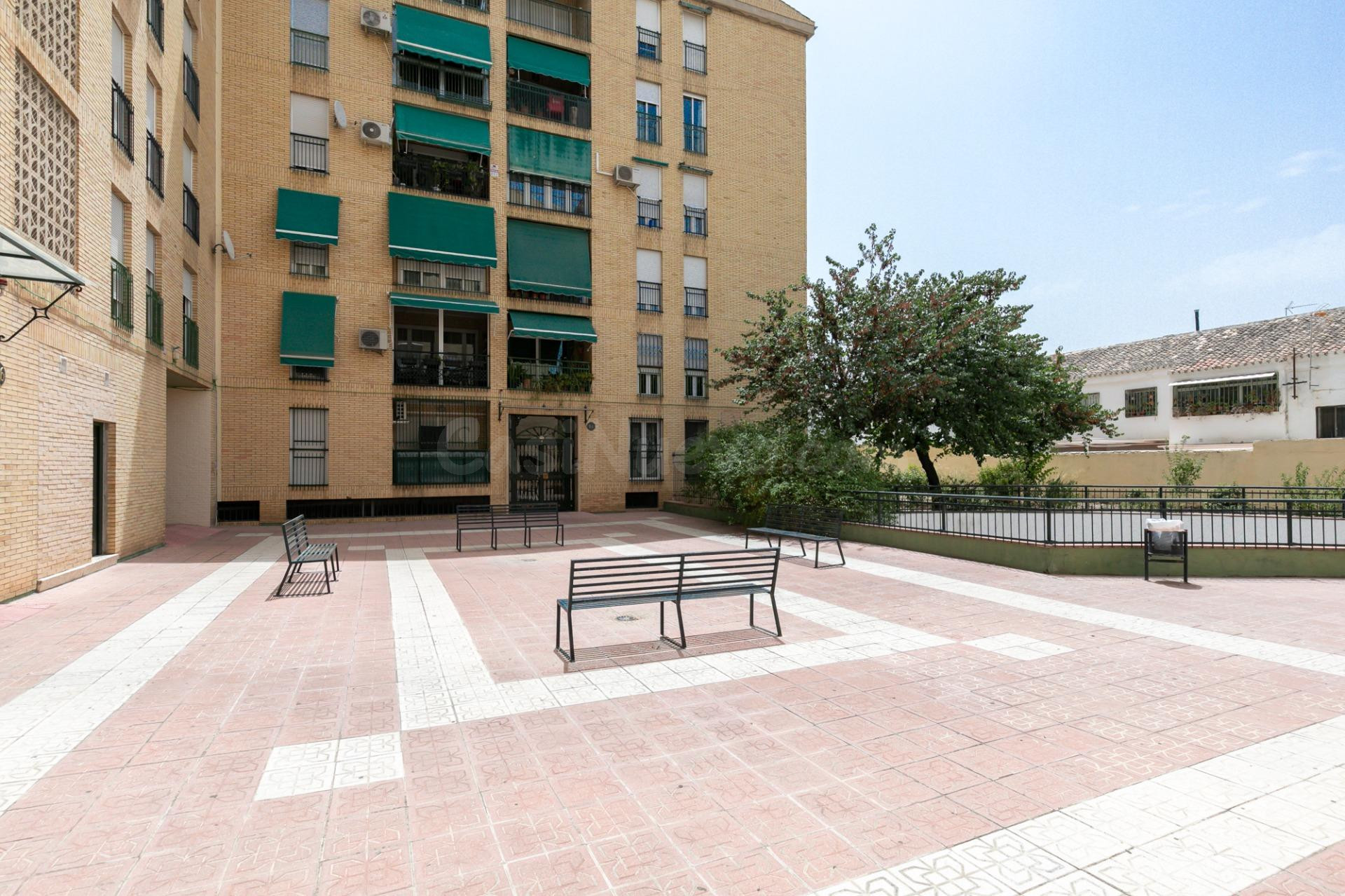 PISO en esquina CIRCUNVALACIÓN LA ENCINA - Frente PARQUE - foto 4