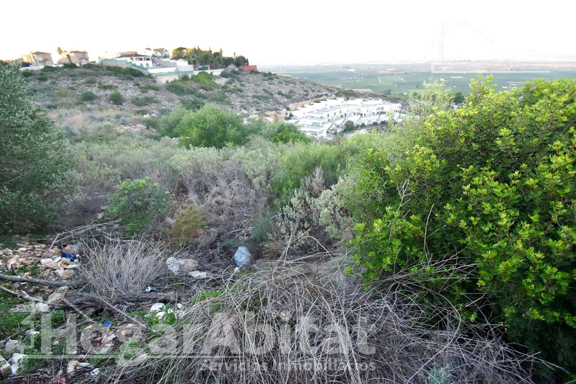 DOS AMPLIOS TERRENOS URBANOS PARA HACER LA CASA DE TUS SUEÑO - foto 5