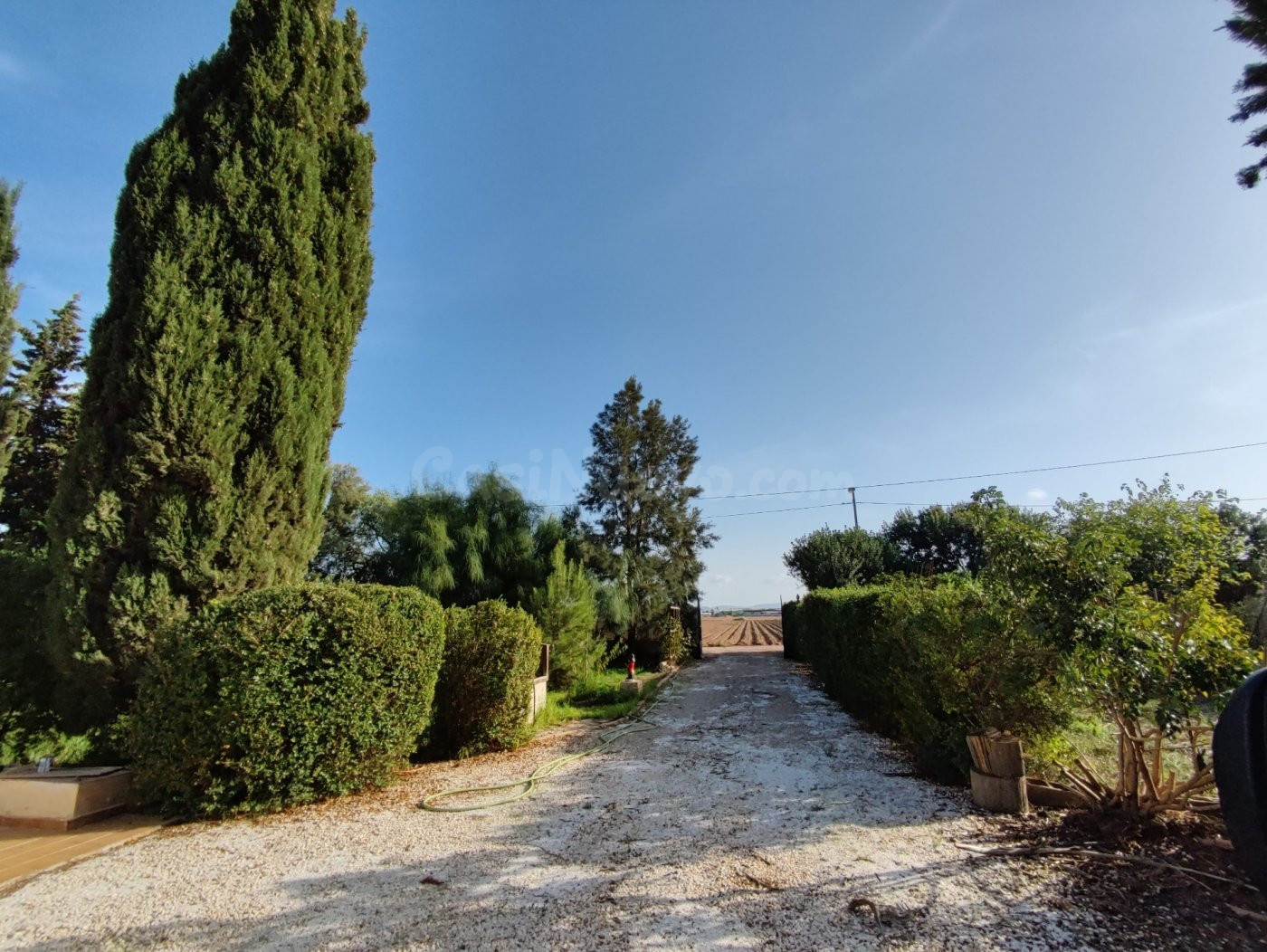 MAGNIFICA FINCA DE CAMPO CON DOS VIVIENDAS - foto 2