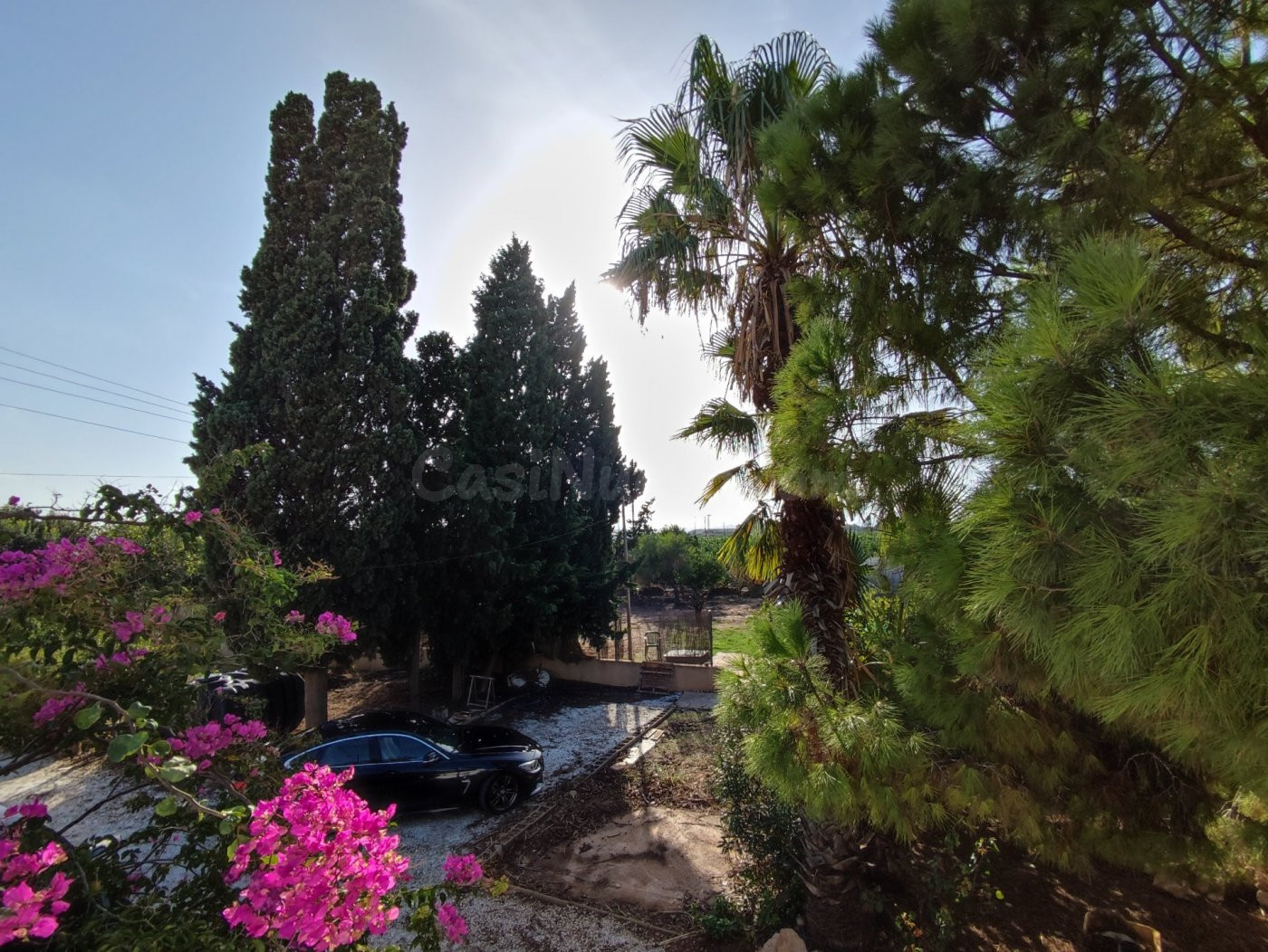 MAGNIFICA FINCA DE CAMPO CON DOS VIVIENDAS - foto 3