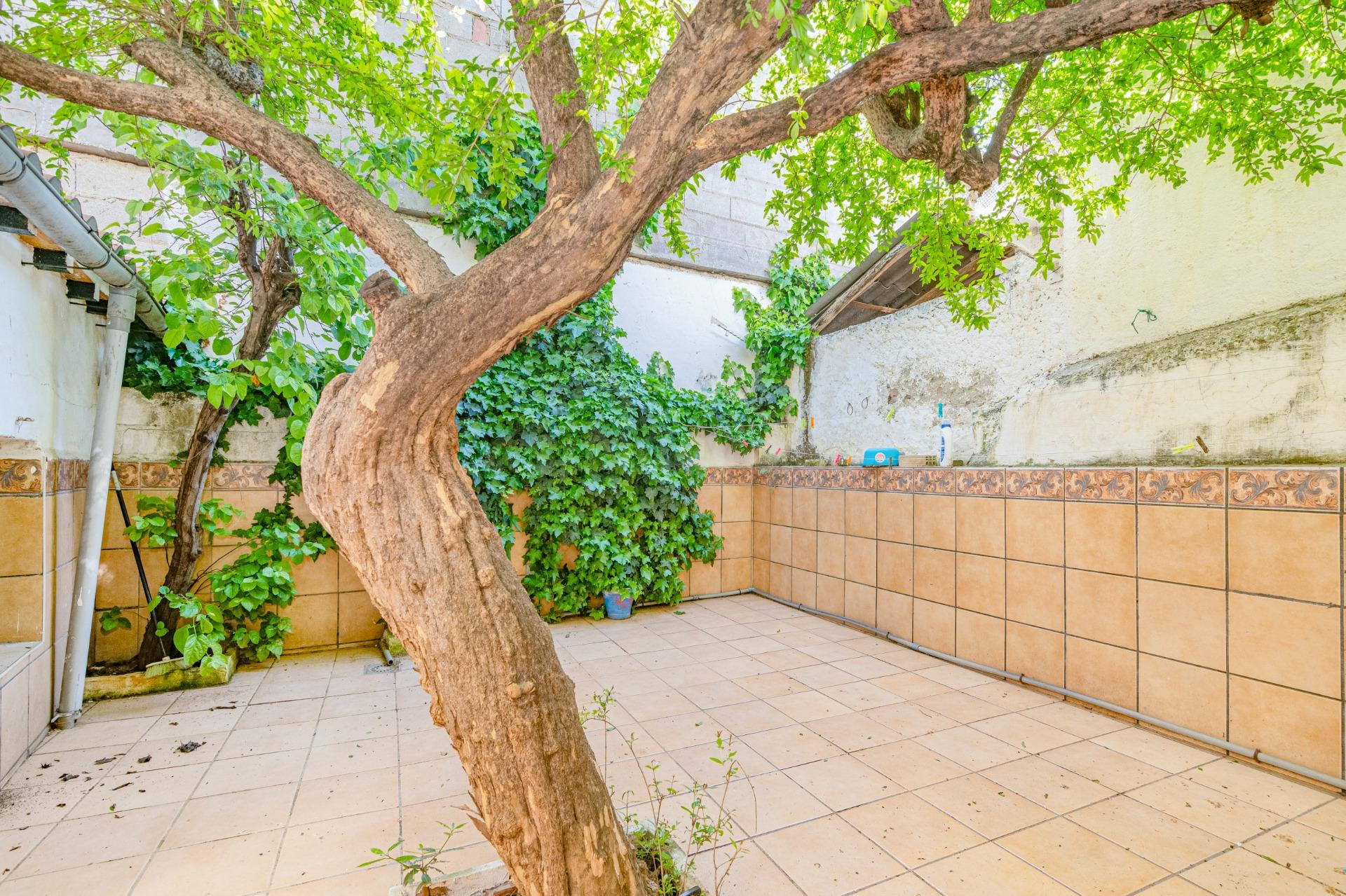 Casa de pueblo en el corazón de Cúllar Vega (Plaza de la Con - foto 3