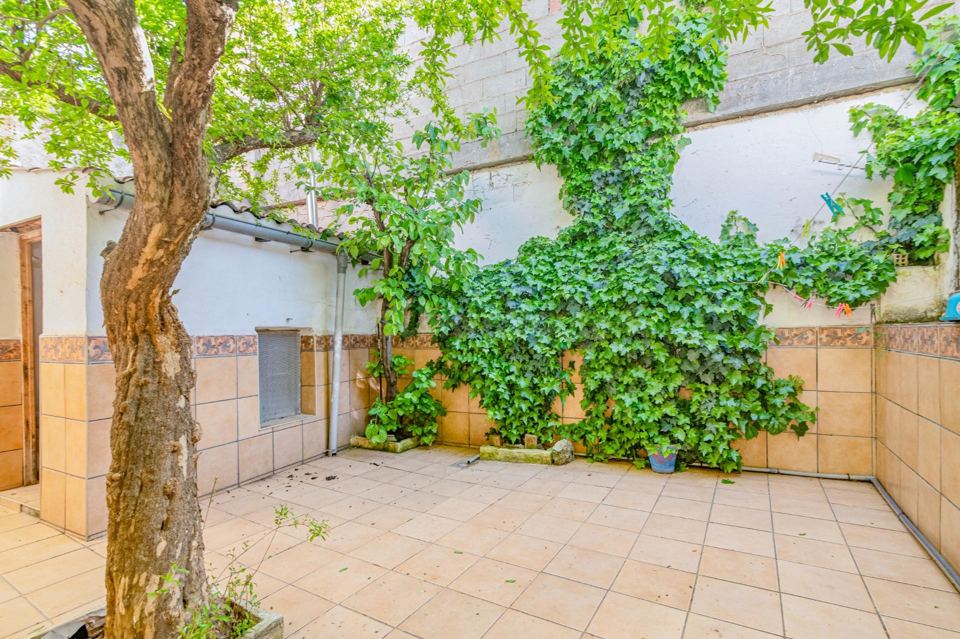 Casa de pueblo en el corazón de Cúllar Vega (Plaza de la Con - foto 4