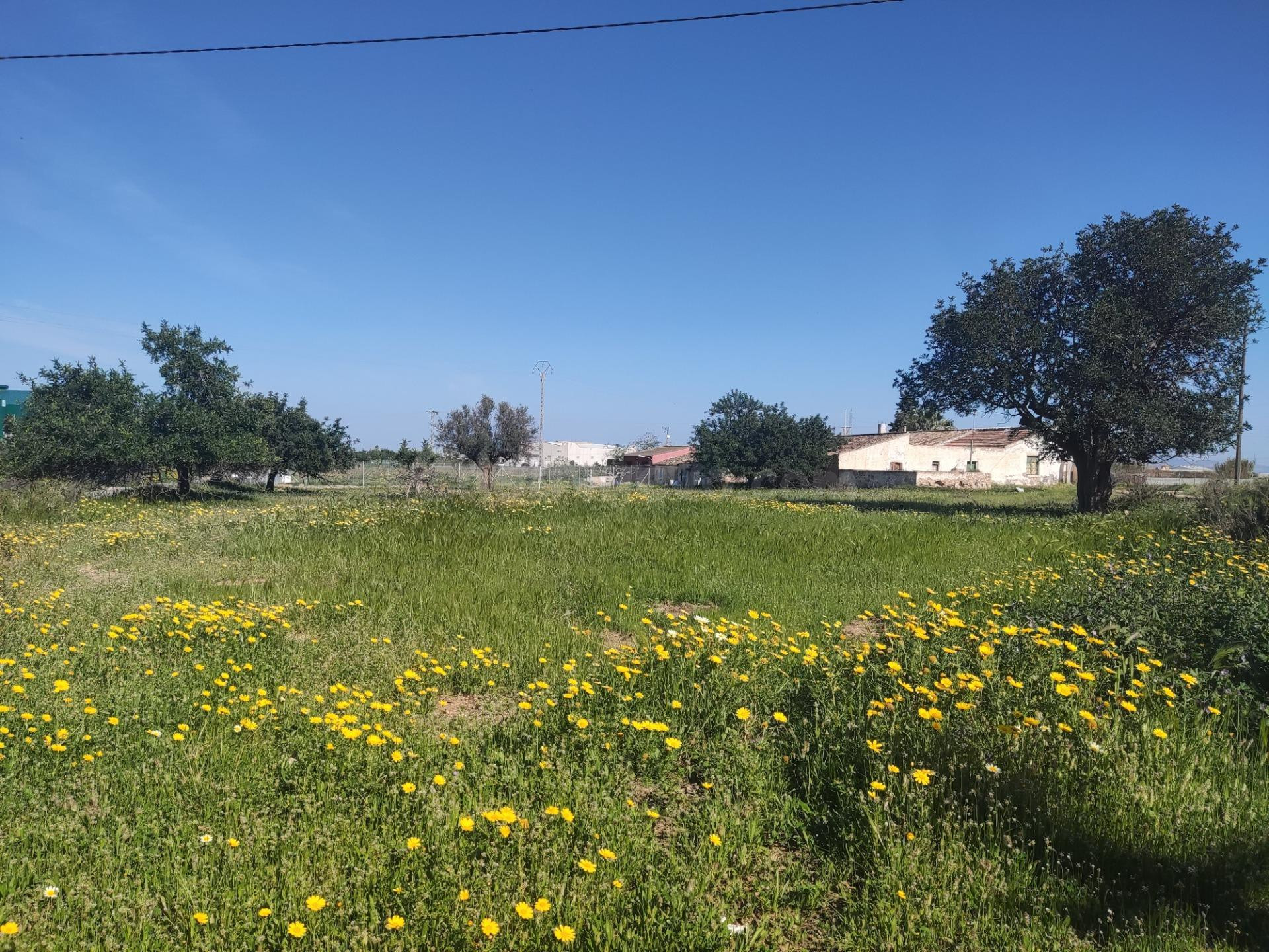 FINCA CON DOS VIVIENDAS Y ALMACEN EN LA MINA-ALBUJON