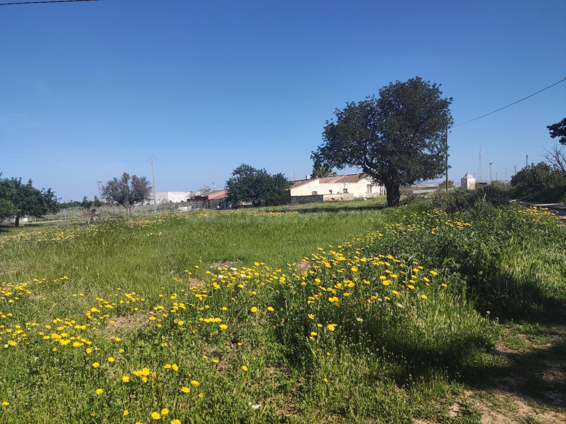 FINCA CON DOS VIVIENDAS Y ALMACEN EN LA MINA-ALBUJON - foto 2