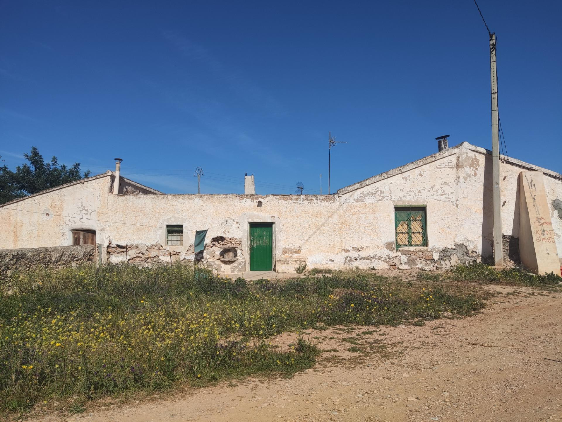 FINCA CON DOS VIVIENDAS Y ALMACEN EN LA MINA-ALBUJON - foto 4