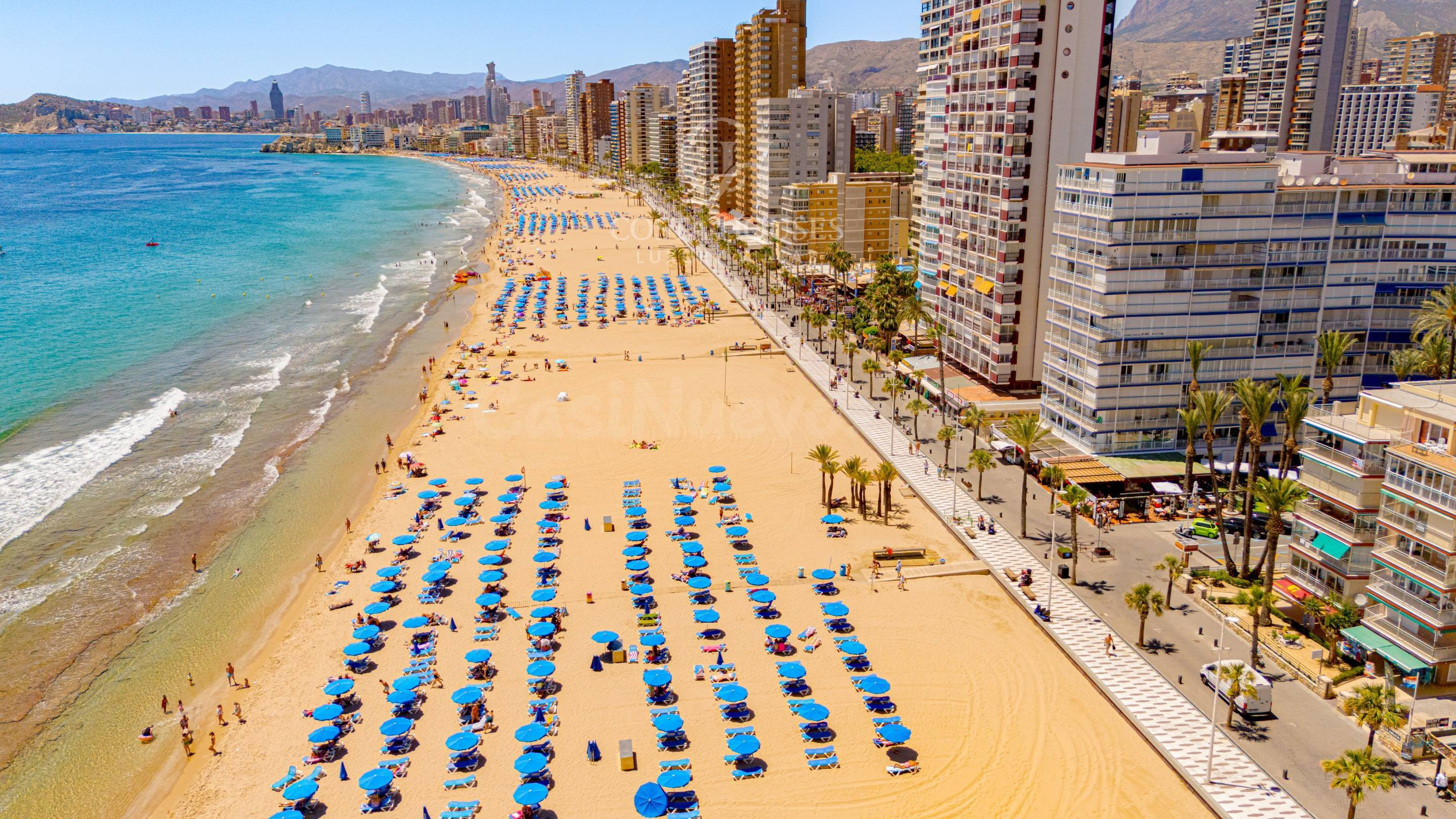 PANORAMA LEVANTE · EL MEDITERRANEO A SUS PIES EN BENIDORM |  - foto 5