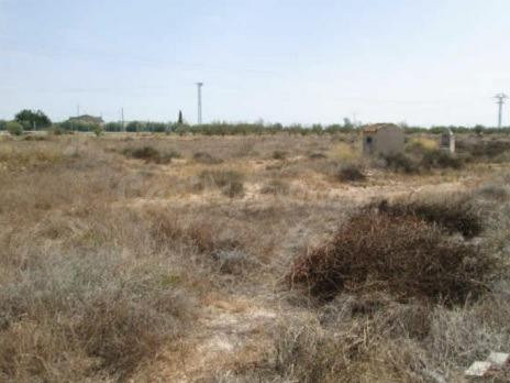 SUELO EN LOS BERNABELES. FUENTE ALAMO DE MURCIA (MURCIA) - foto 4