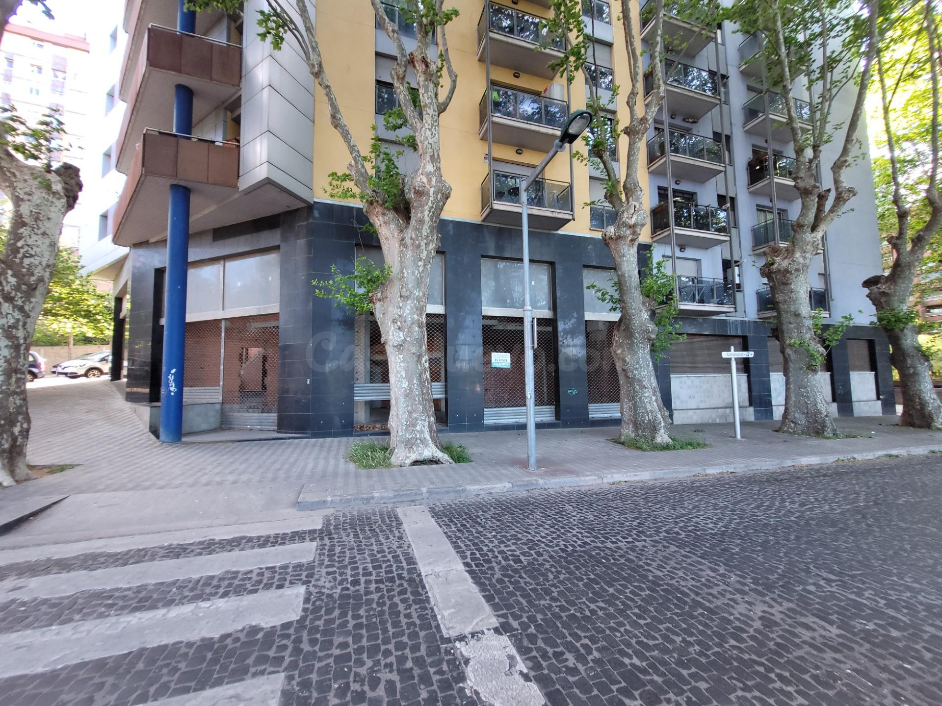 Tu negocio en un amplio local en bruto de l'Eixample de Figu - foto 5