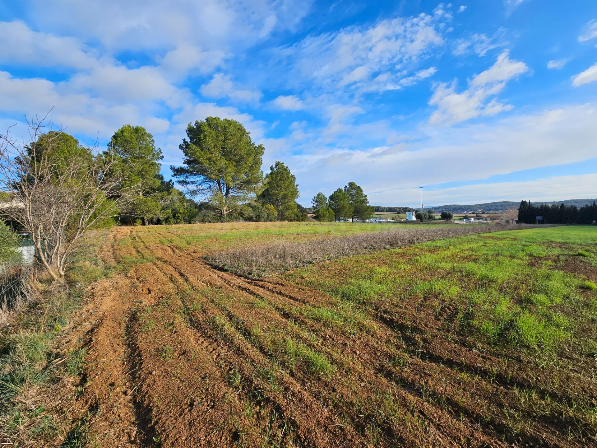 Terreno urbano en Camallera - Vilaür - foto 3