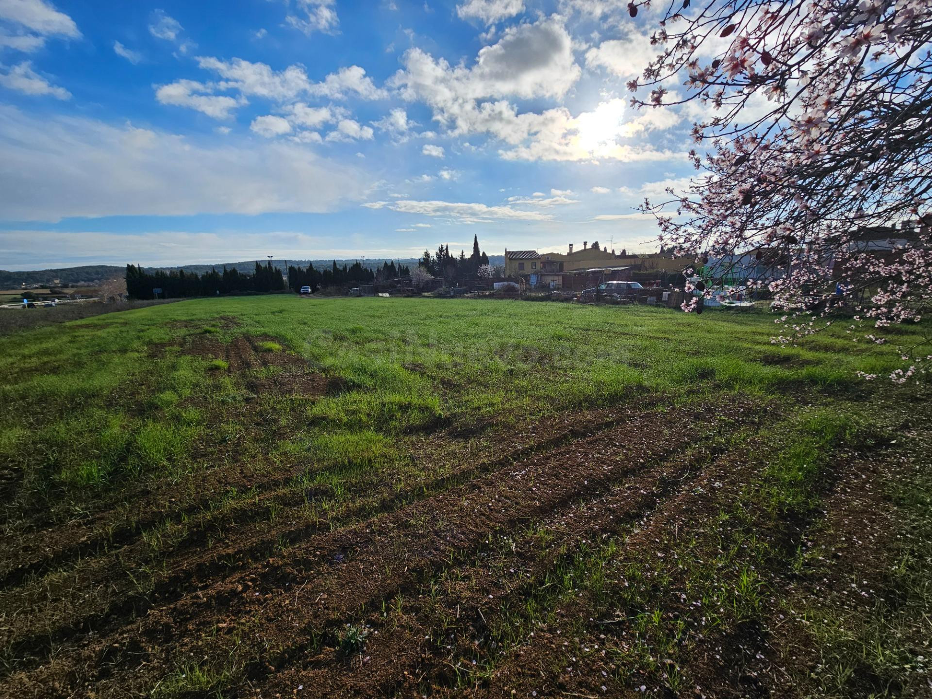 Terreno urbano en Camallera - Vilaür - foto 4