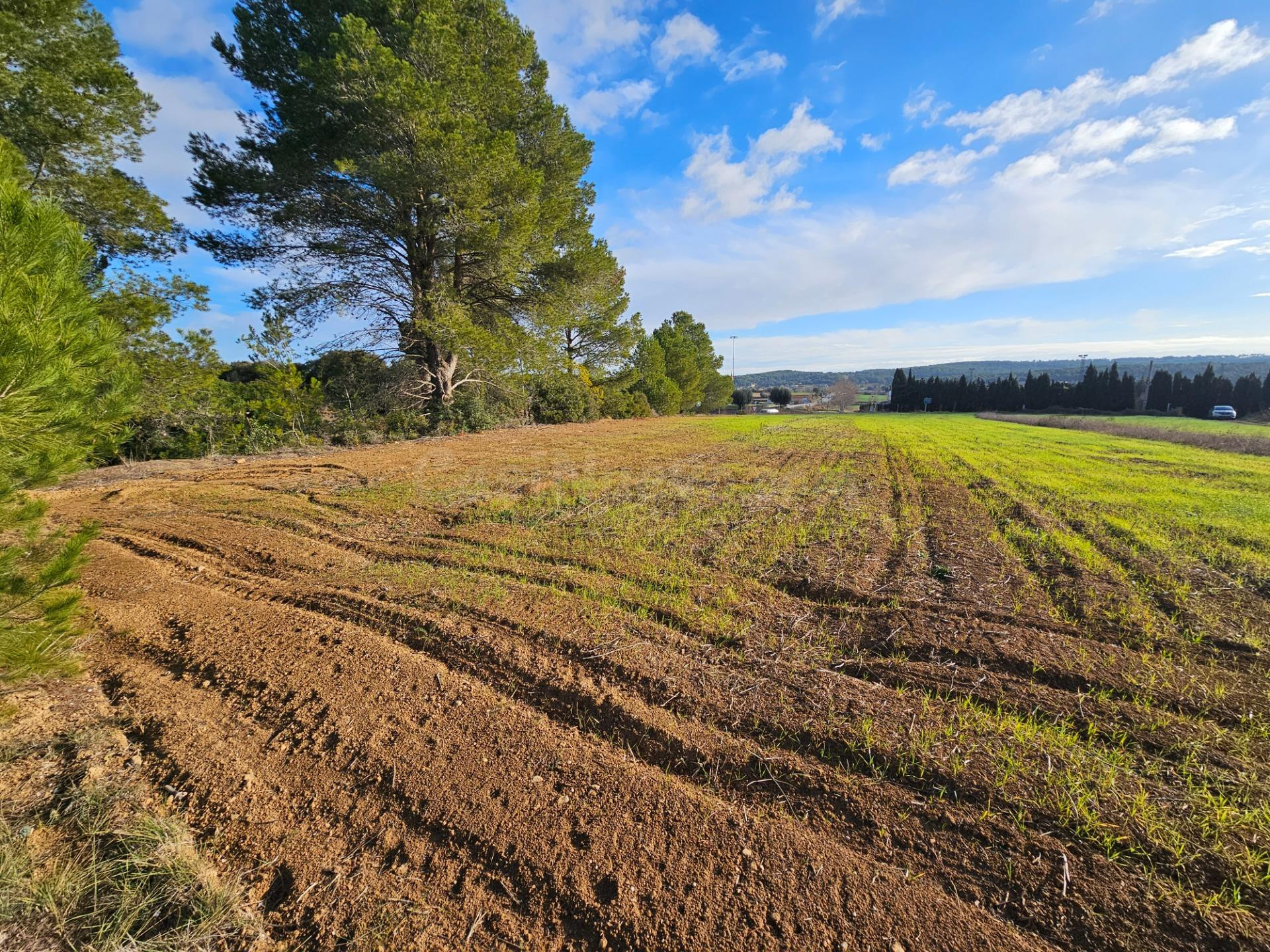 Terreno urbano en Camallera - Vilaür - foto 2
