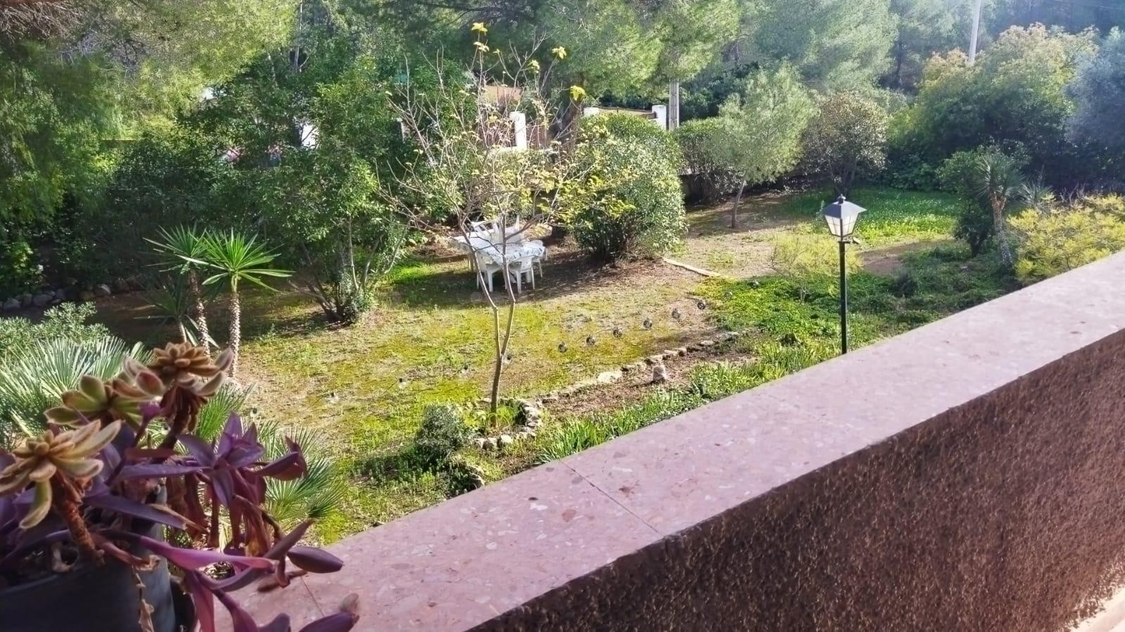 Alquiler COMPARTIDO de chalet en término de Olocau. - foto 5