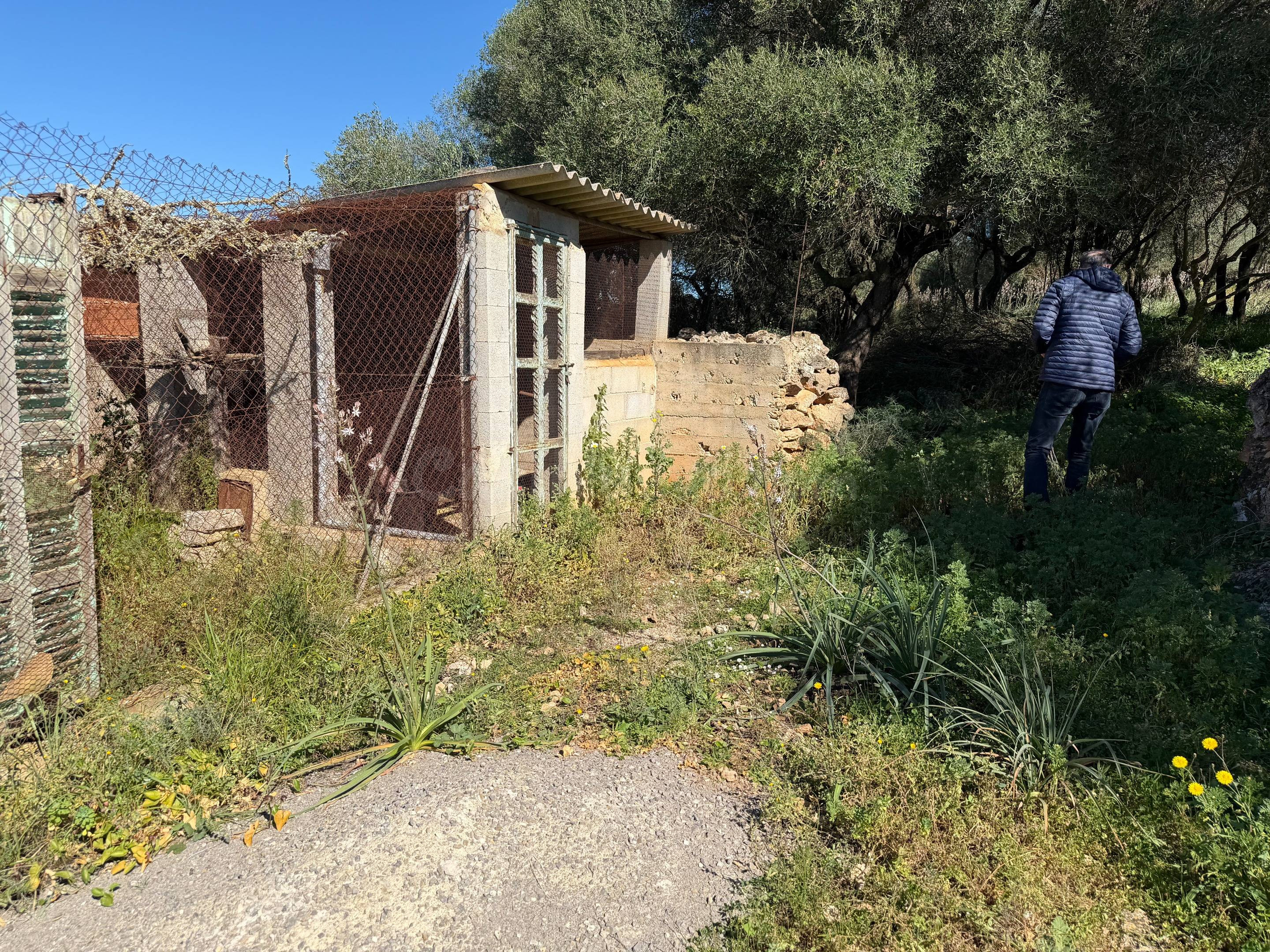 Finca rústica de 25.574 m2 con proyecto de vivienda y piscin - foto 3