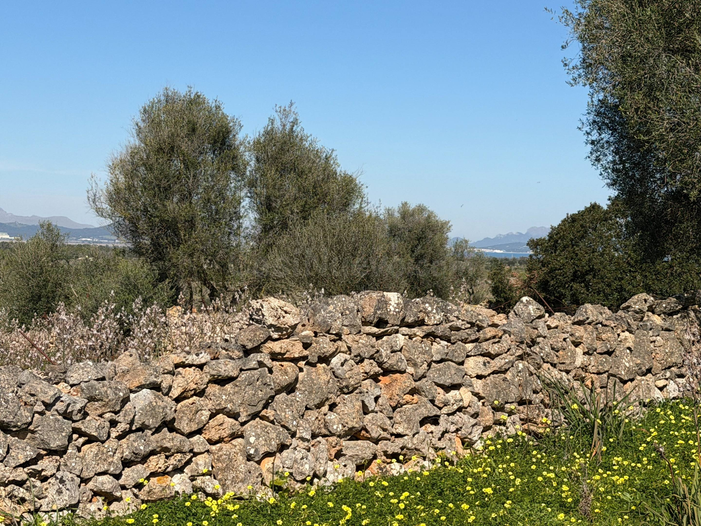 Finca rústica de 25.574 m2 con proyecto de vivienda y piscin - foto 4