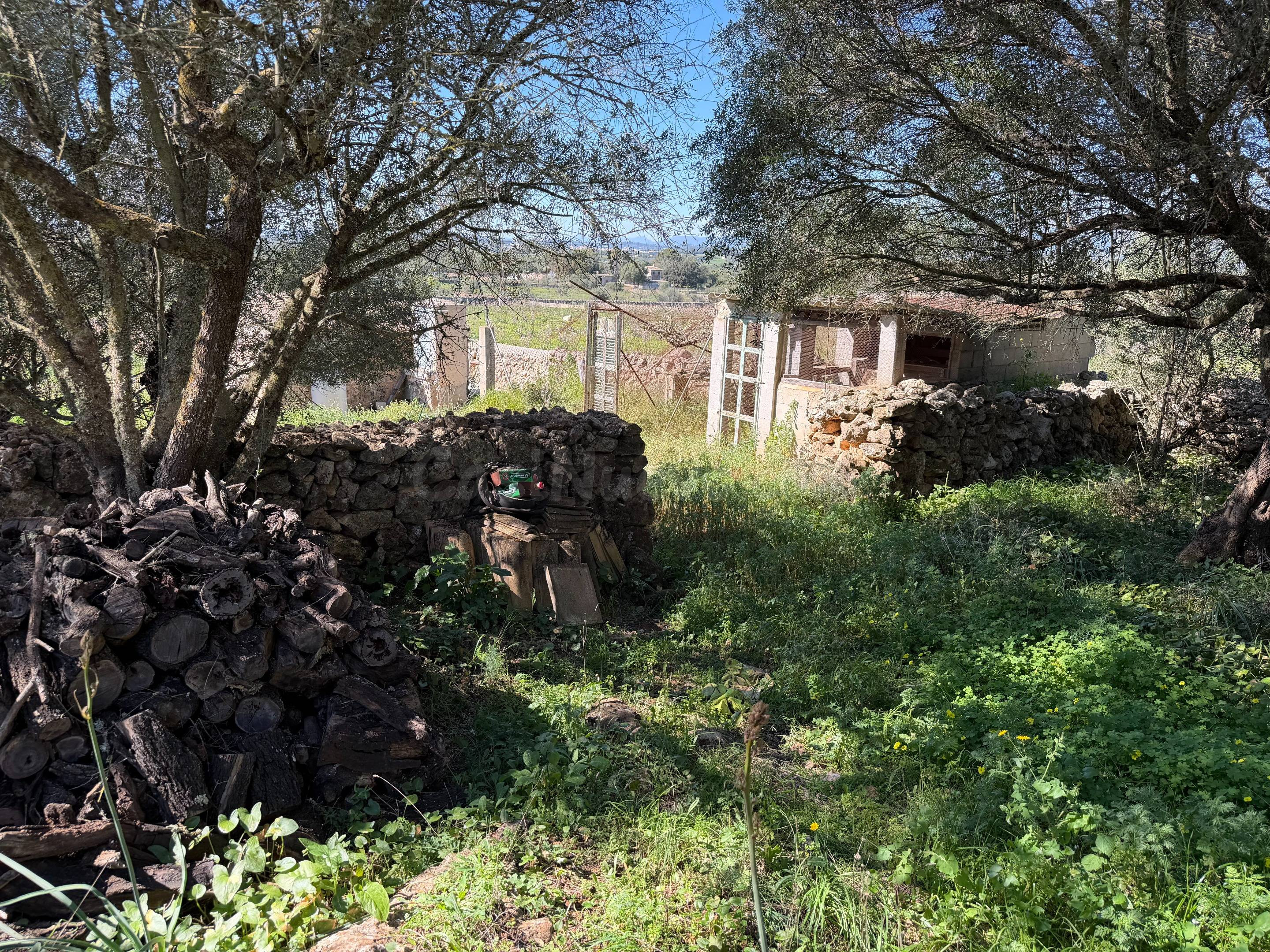 Finca rústica de 25.574 m2 con proyecto de vivienda y piscin - foto 5