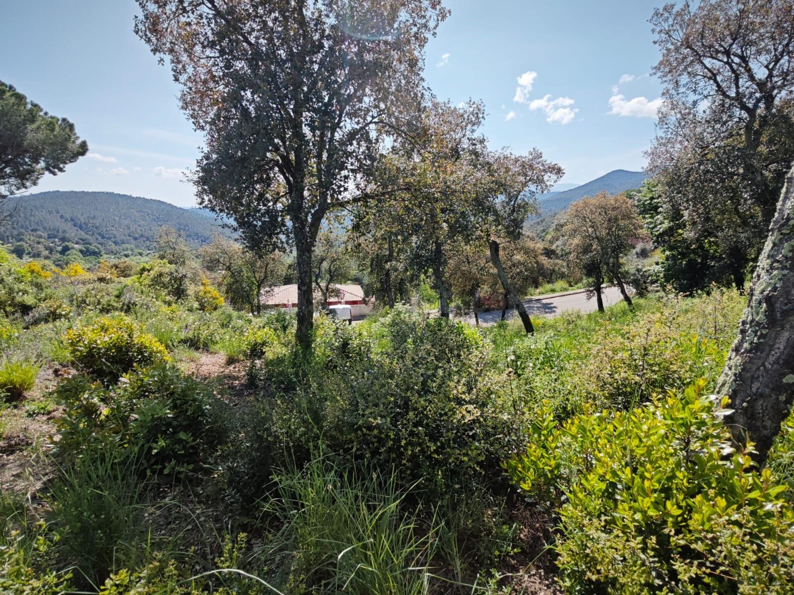 TERRENO URBANO EN VENDA EN RIUDARENES - foto 2