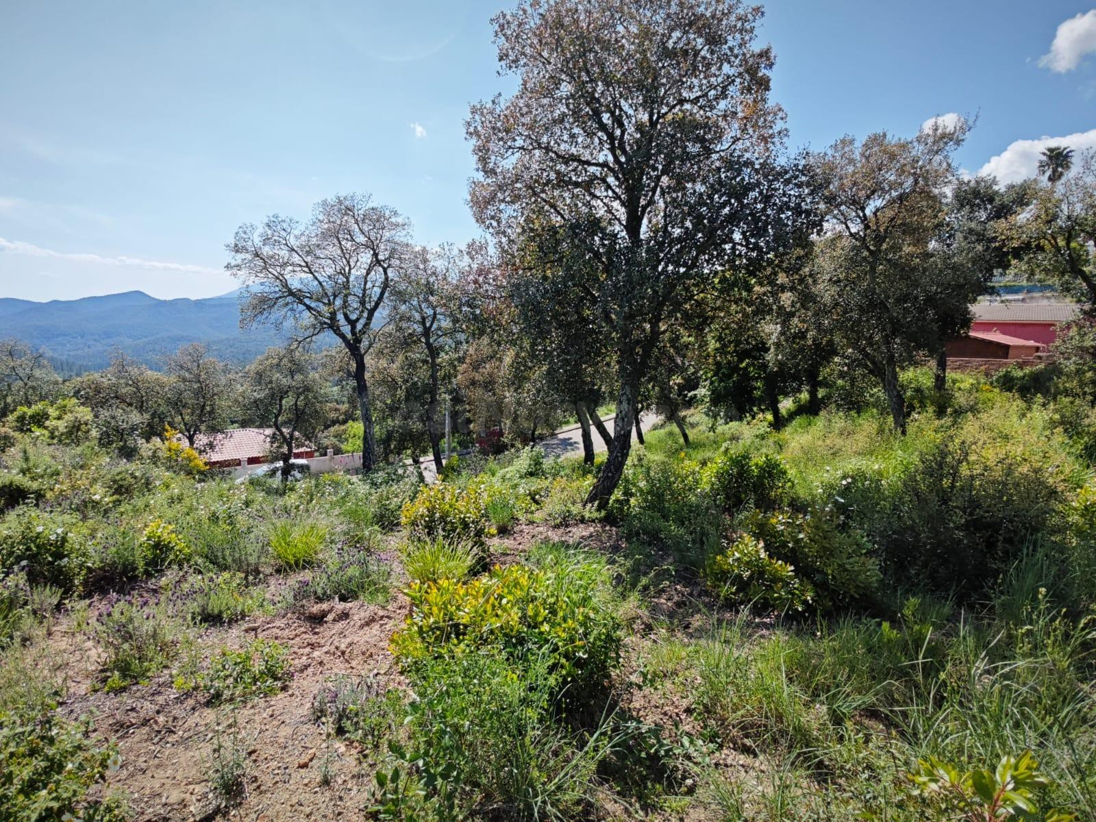 TERRENO URBANO EN VENDA EN RIUDARENES - foto 5