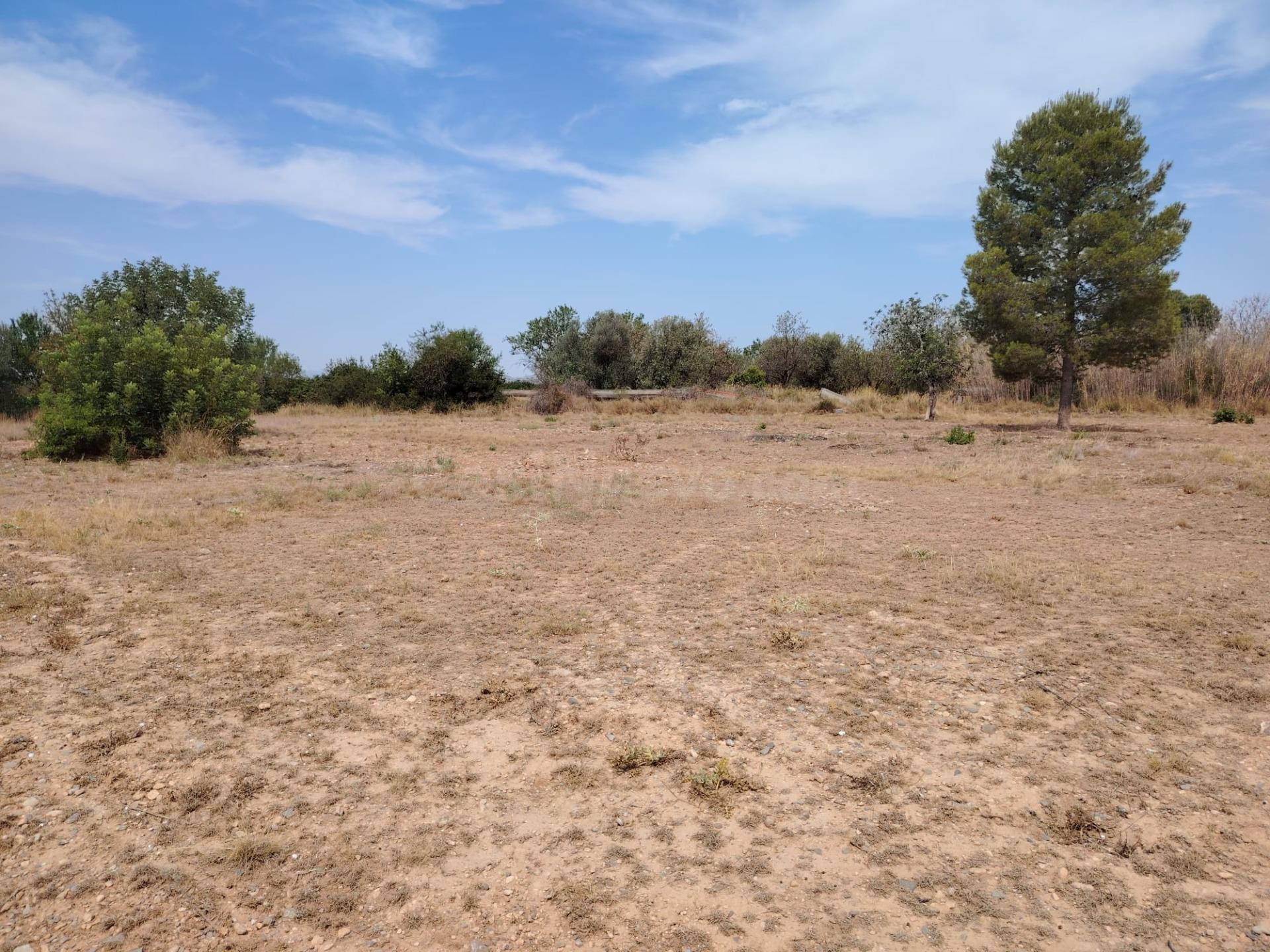 TERRENO RURAL EN LLÍRIA