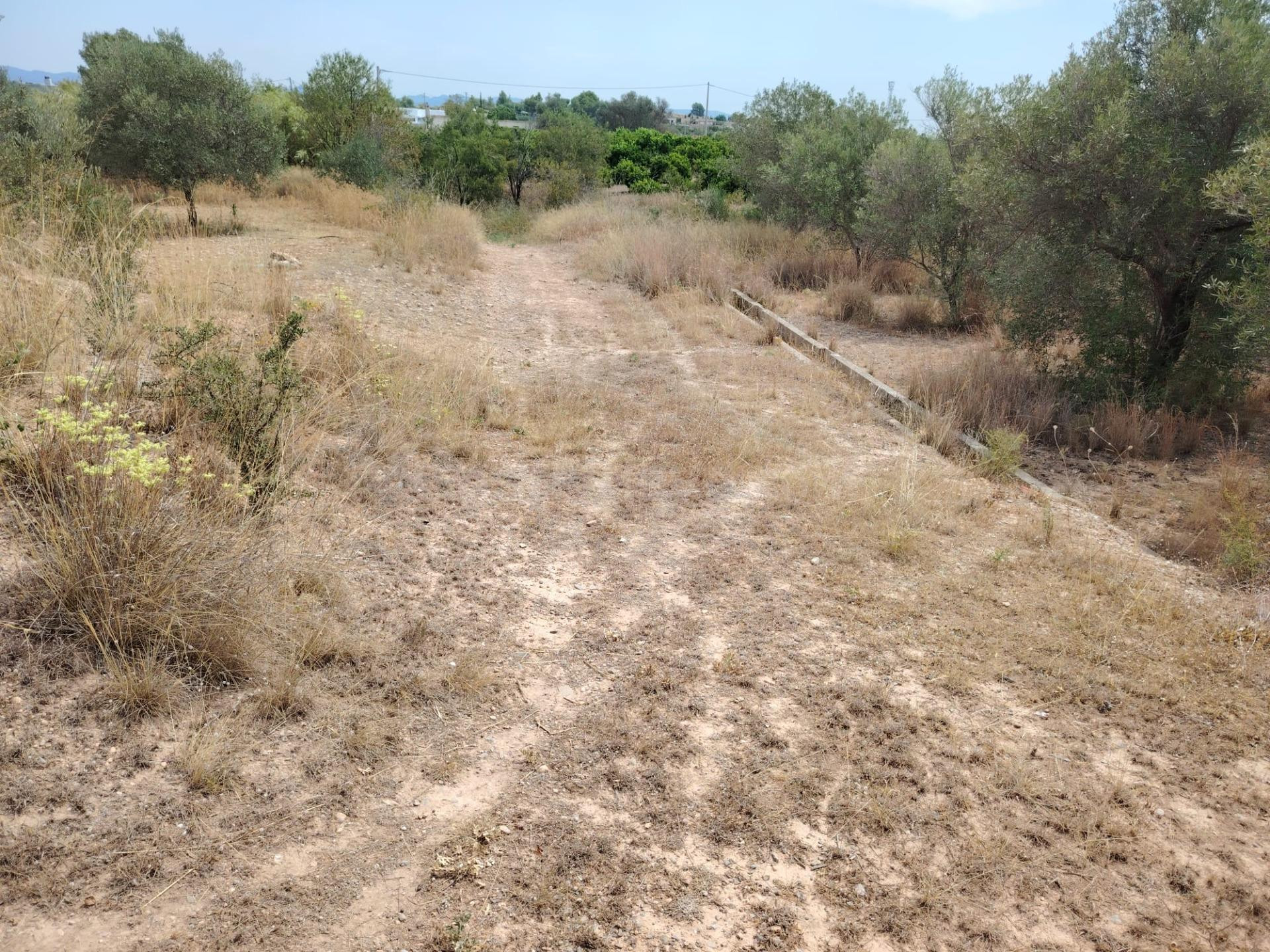 TERRENO RURAL EN LLÍRIA - foto 2