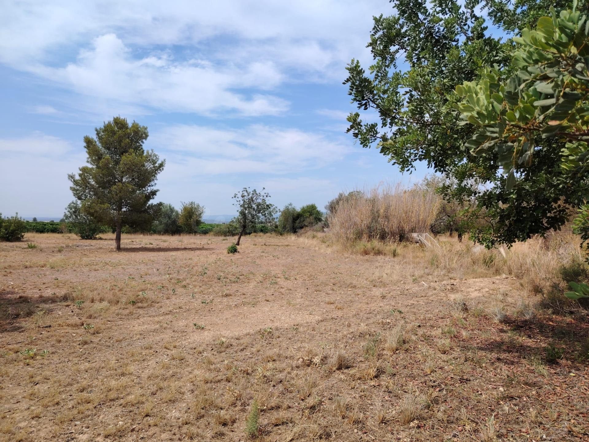 TERRENO RURAL EN LLÍRIA - foto 3