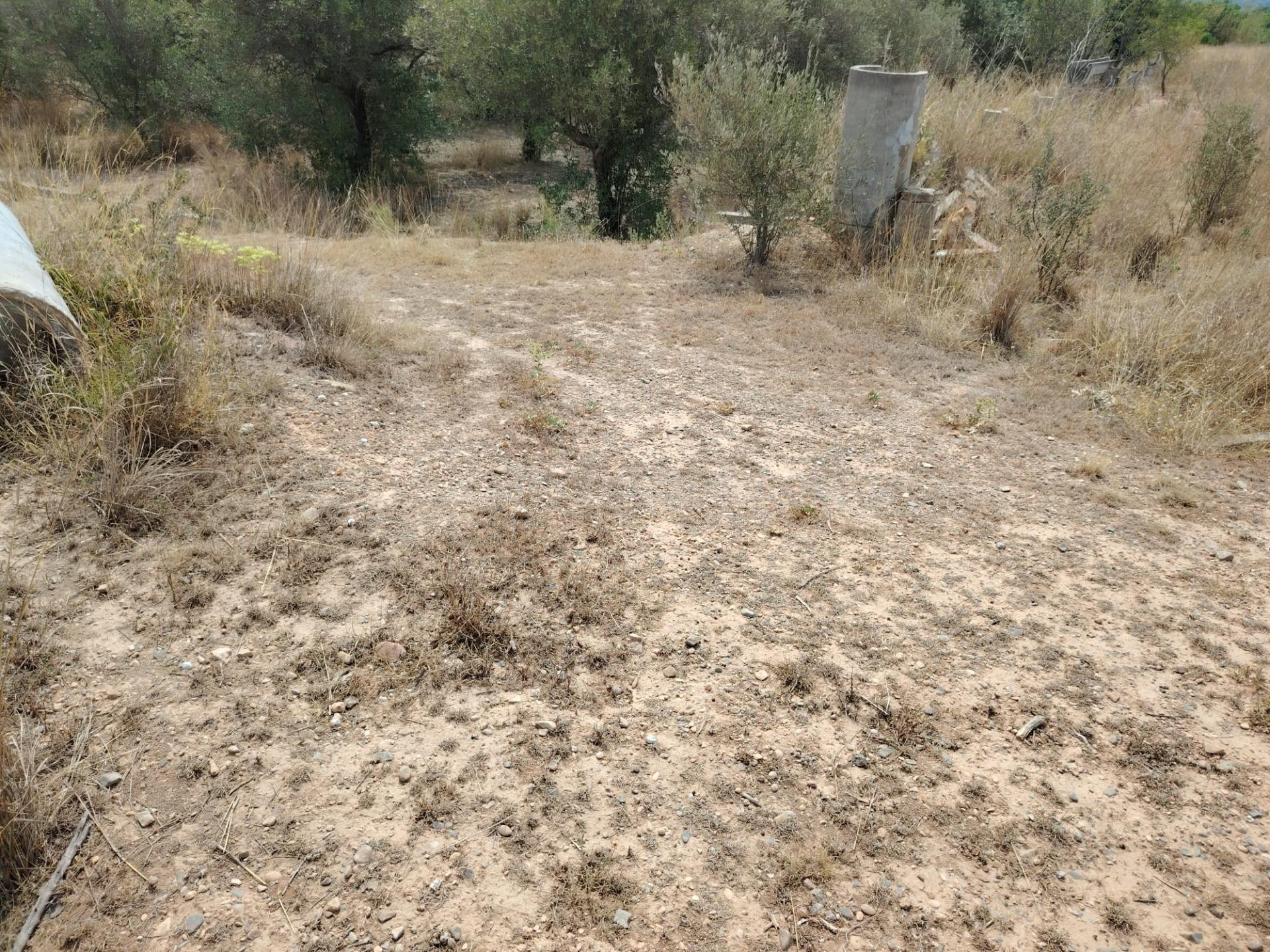 TERRENO RURAL EN LLÍRIA - foto 4
