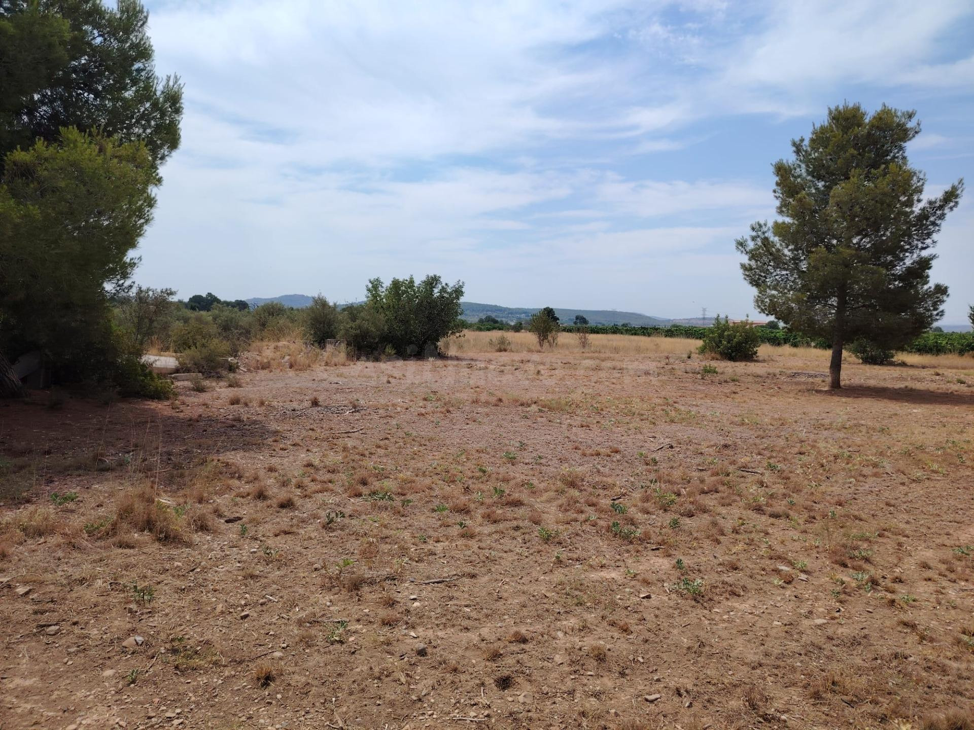 TERRENO RURAL EN LLÍRIA - foto 5