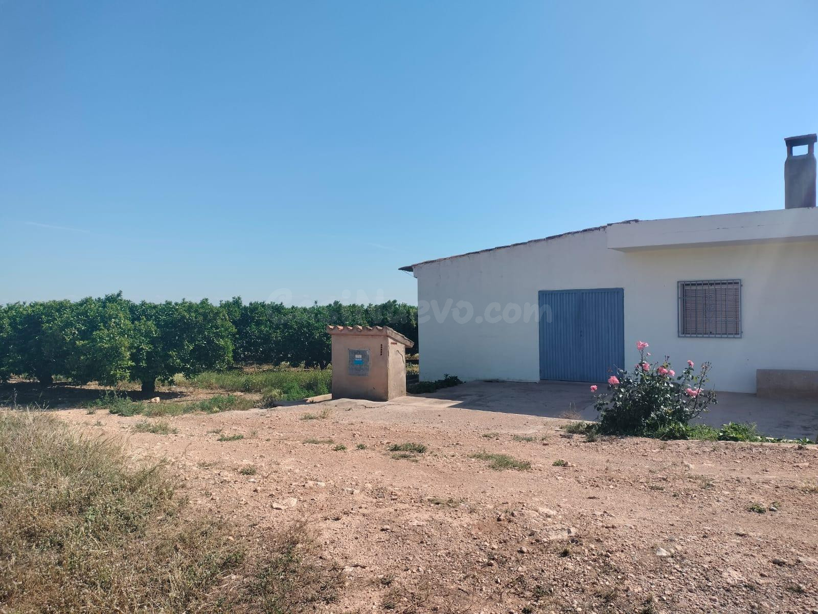 CASA DE CAMPO CON NARANJOS EN PRODUCCIÓN - foto 2