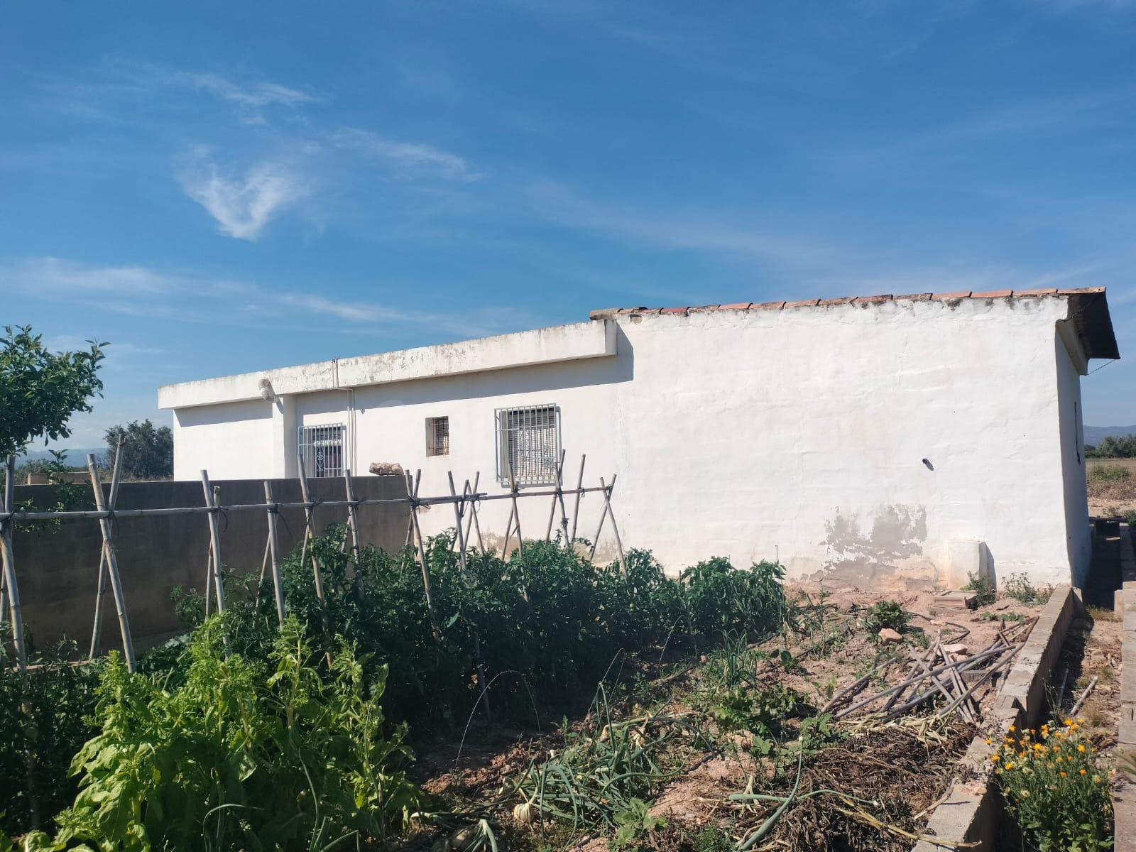 CASA DE CAMPO CON NARANJOS EN PRODUCCIÓN - foto 4