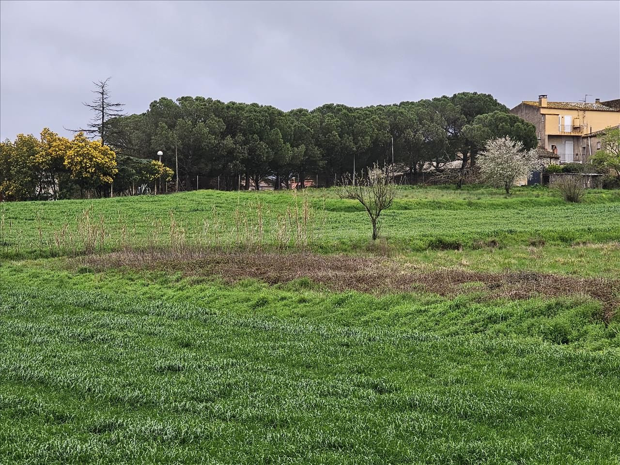 SUELO URBANO EN LLAGOSTERA (GIRONA) - foto 4