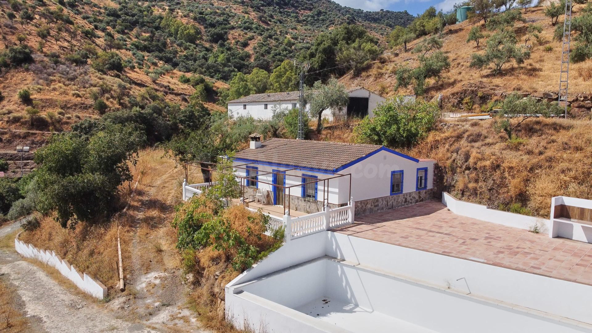 Finca rústica de 6.3 hectáreas con vivienda, almacén, olivos