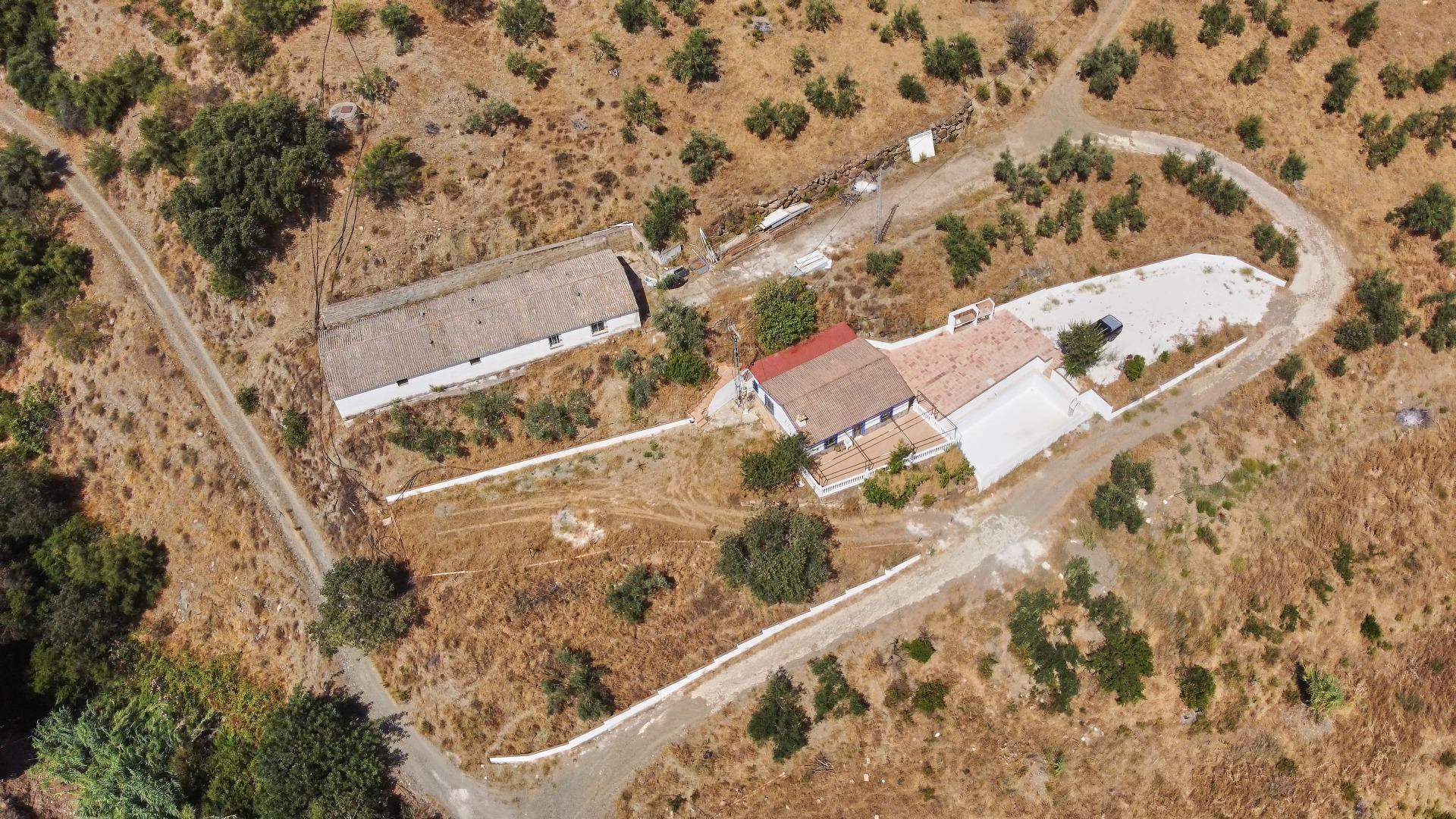 Finca rústica de 6.3 hectáreas con vivienda, almacén, olivos - foto 4
