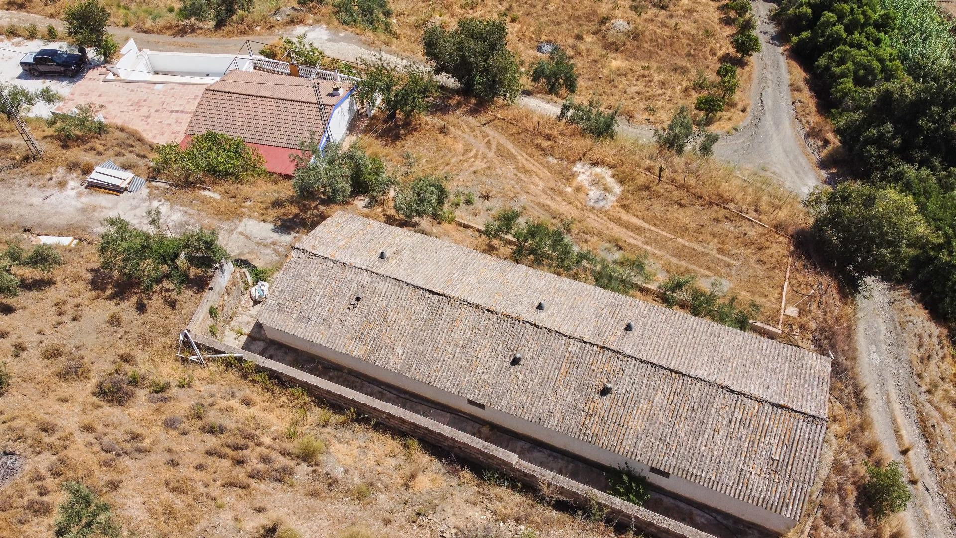 Finca rústica de 6.3 hectáreas con vivienda, almacén, olivos - foto 5