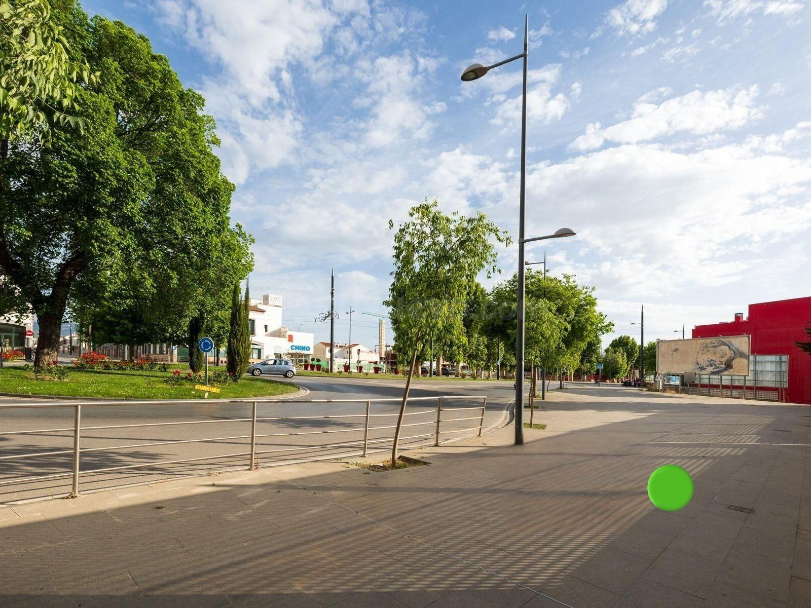 SOLAR JUNTO A FERNANDO DE LOS RIOS. ARMILLA. TERCIARIO (OFIC - foto 2