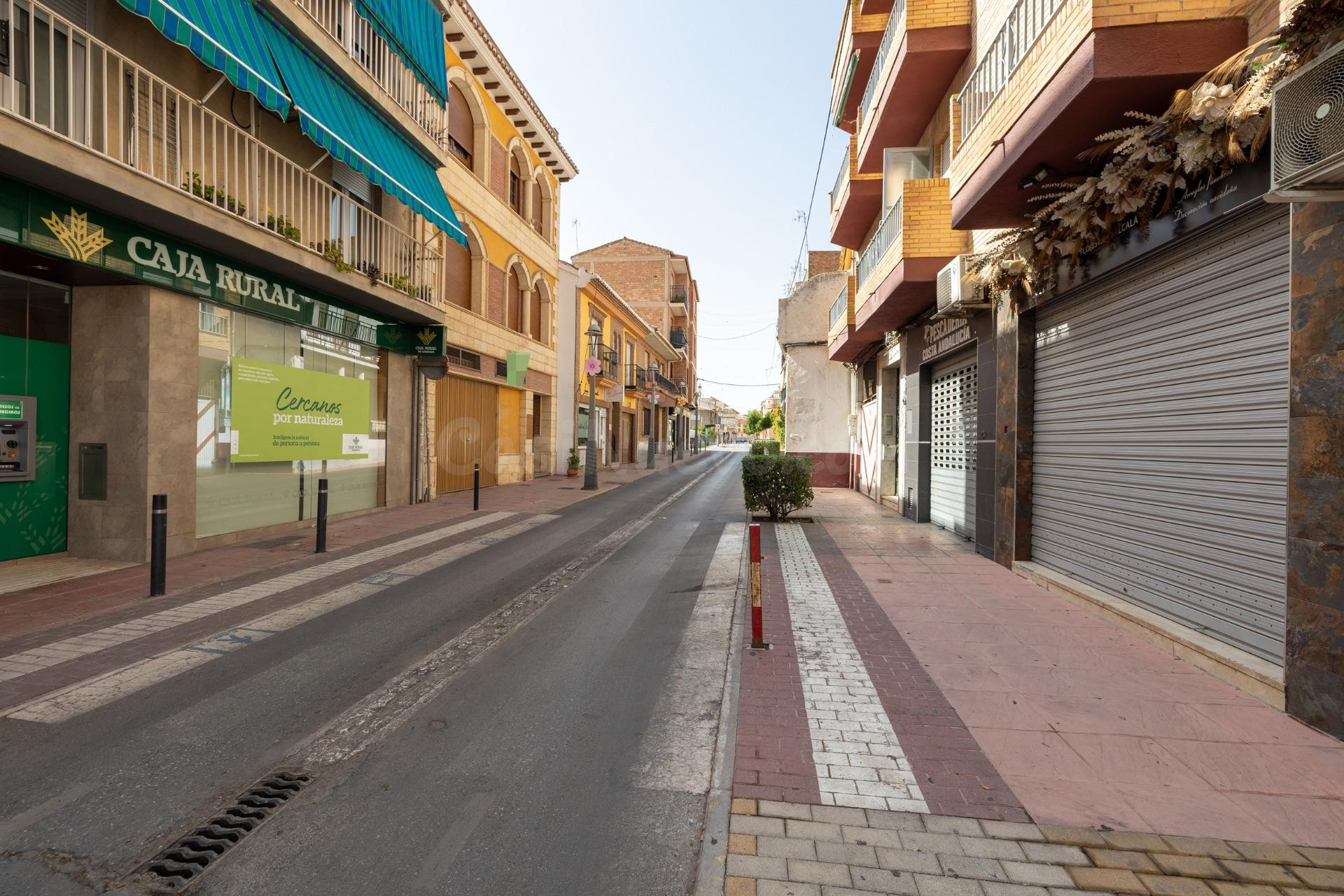 Local comercial en venta en Peligros – Calle Principal