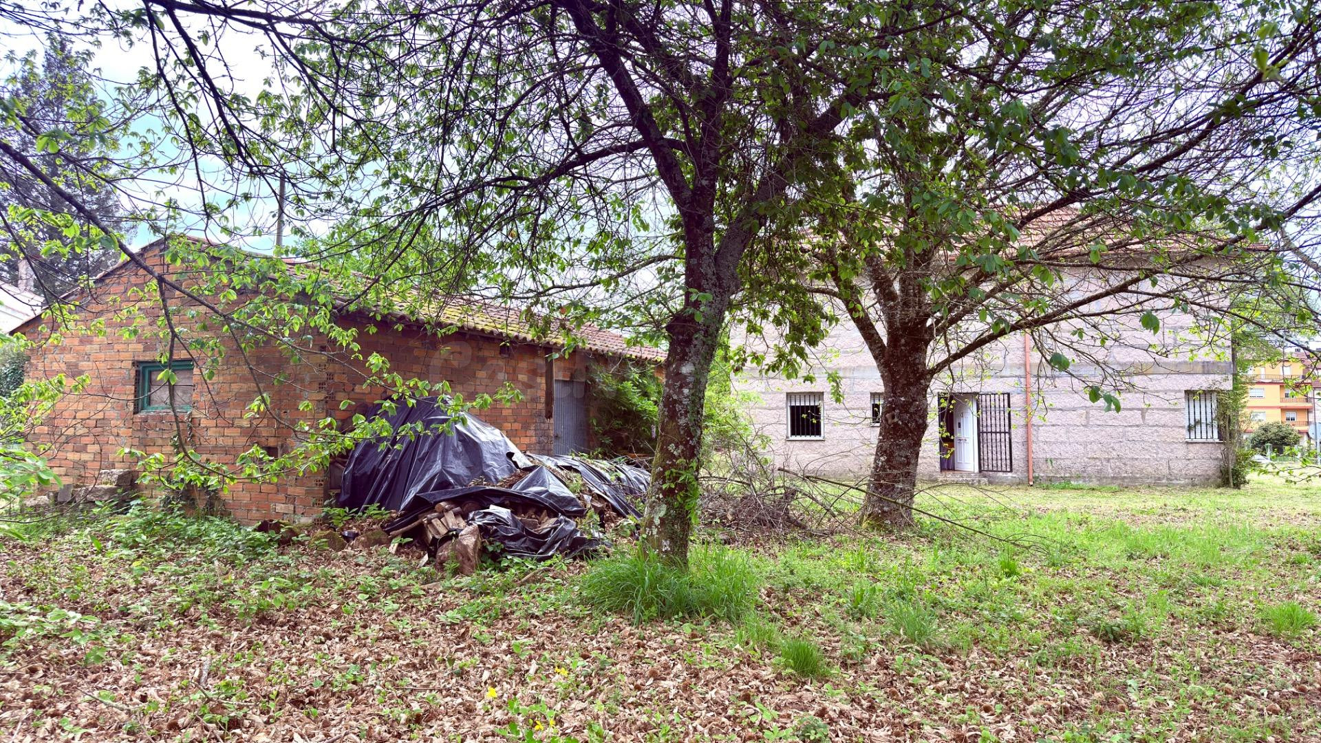 SE VENDE CASA DE PIEDRA CON FINCA EN A BARRELA CON 5 habitac - foto 3