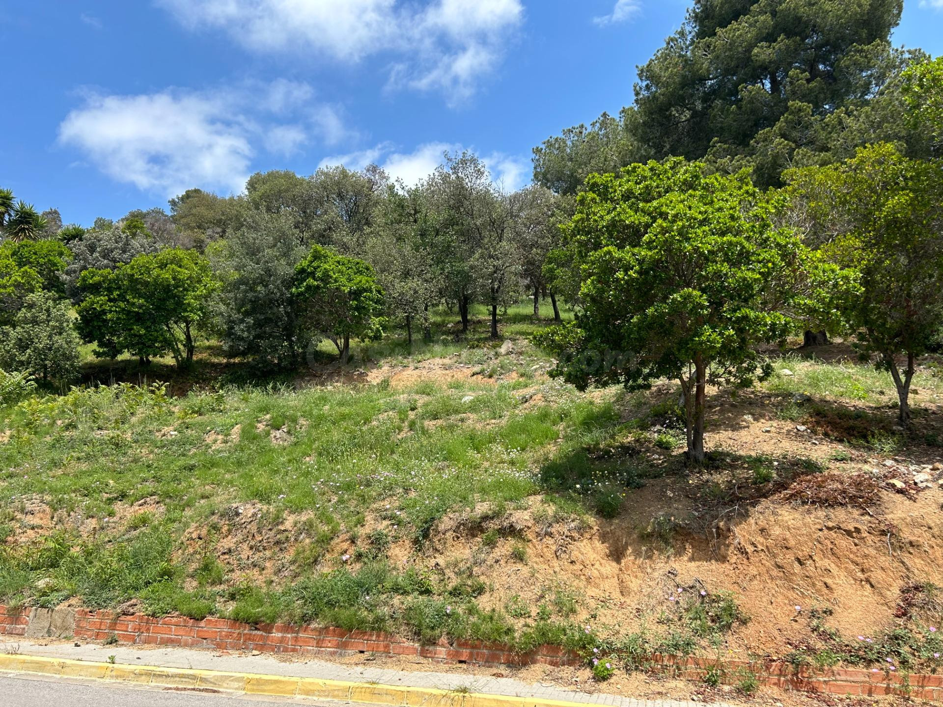 Fantástico terreno urbano de 1.557 m2 listo para hacer la ca - foto 2