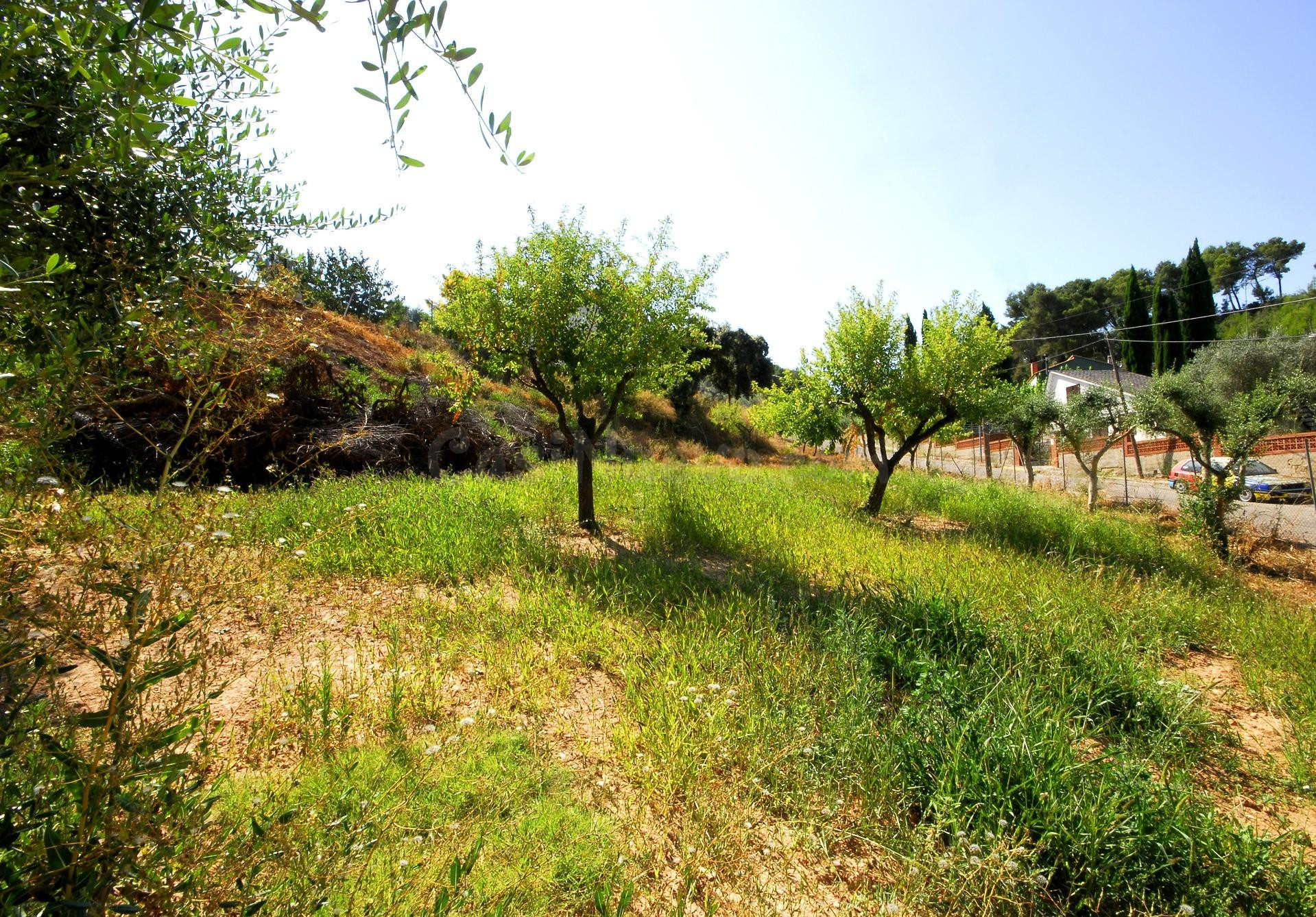 TERRENO URBANO EN CABRERA D'ANOIA