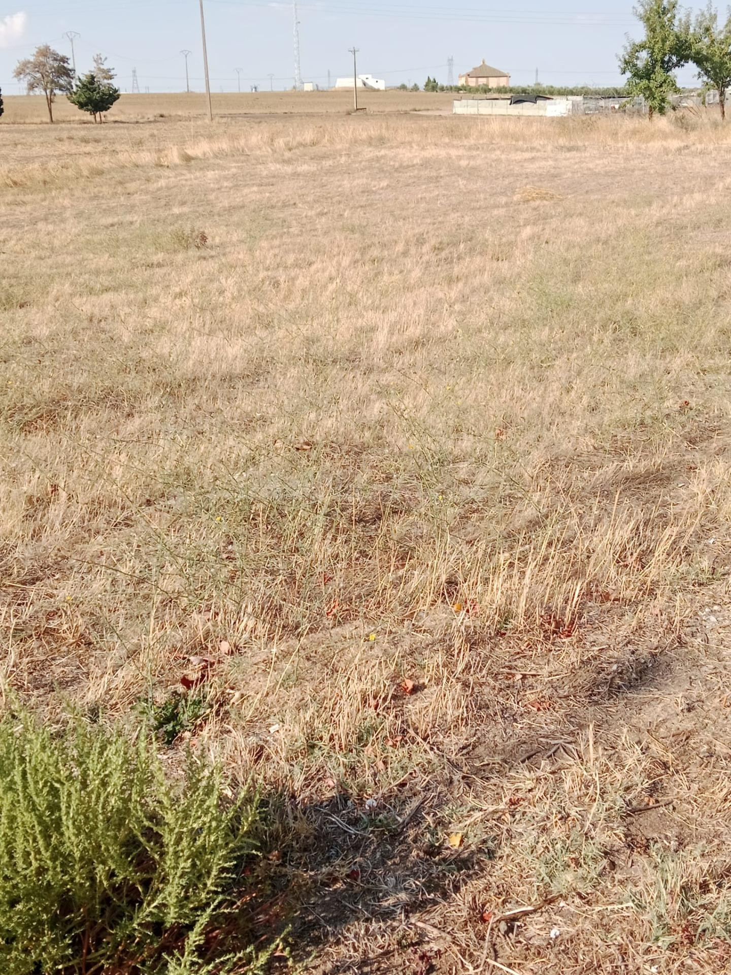 Venta de Parcela en Matapozuelos - foto 2