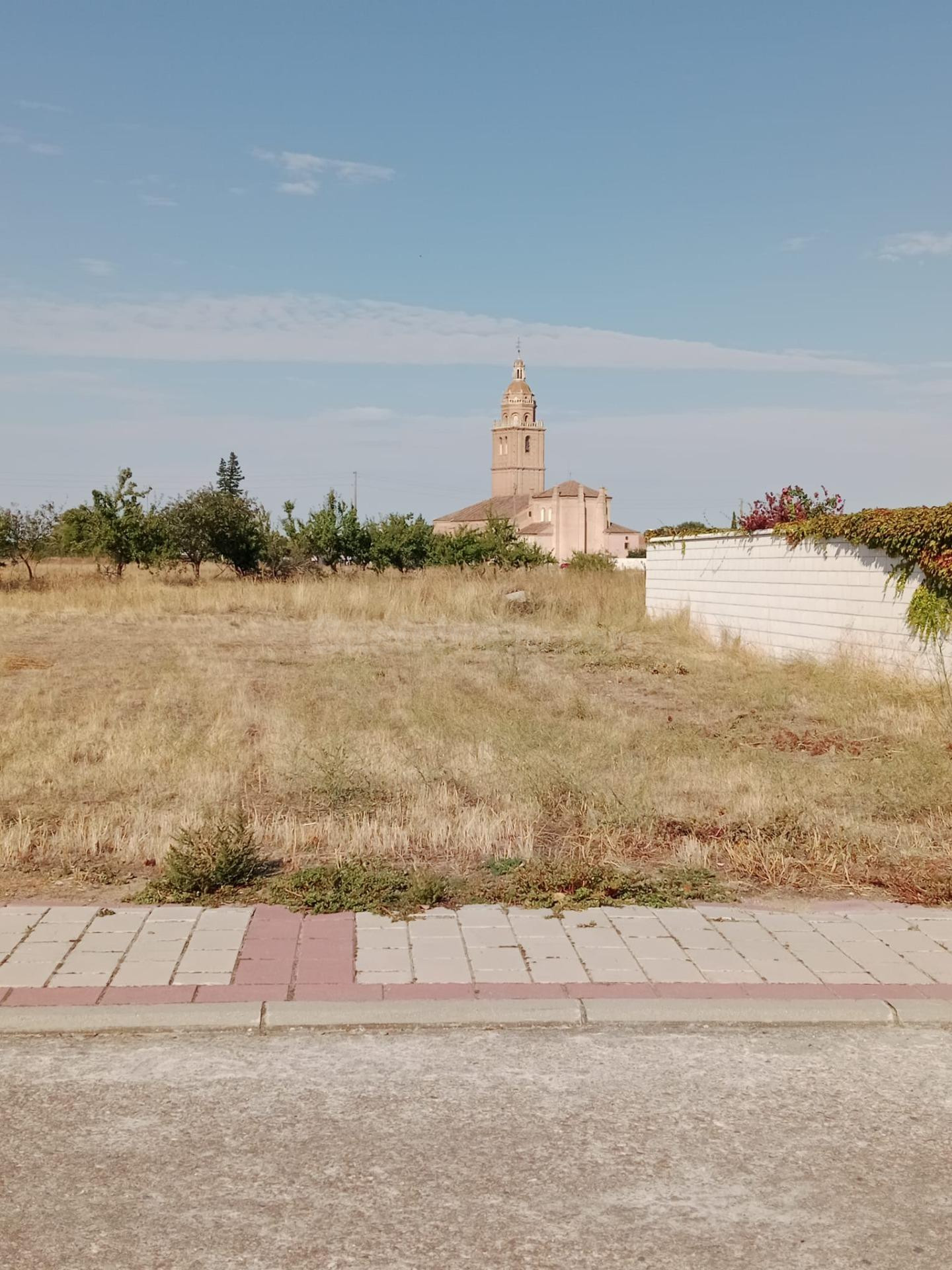 Venta de Parcela en Matapozuelos - foto 4