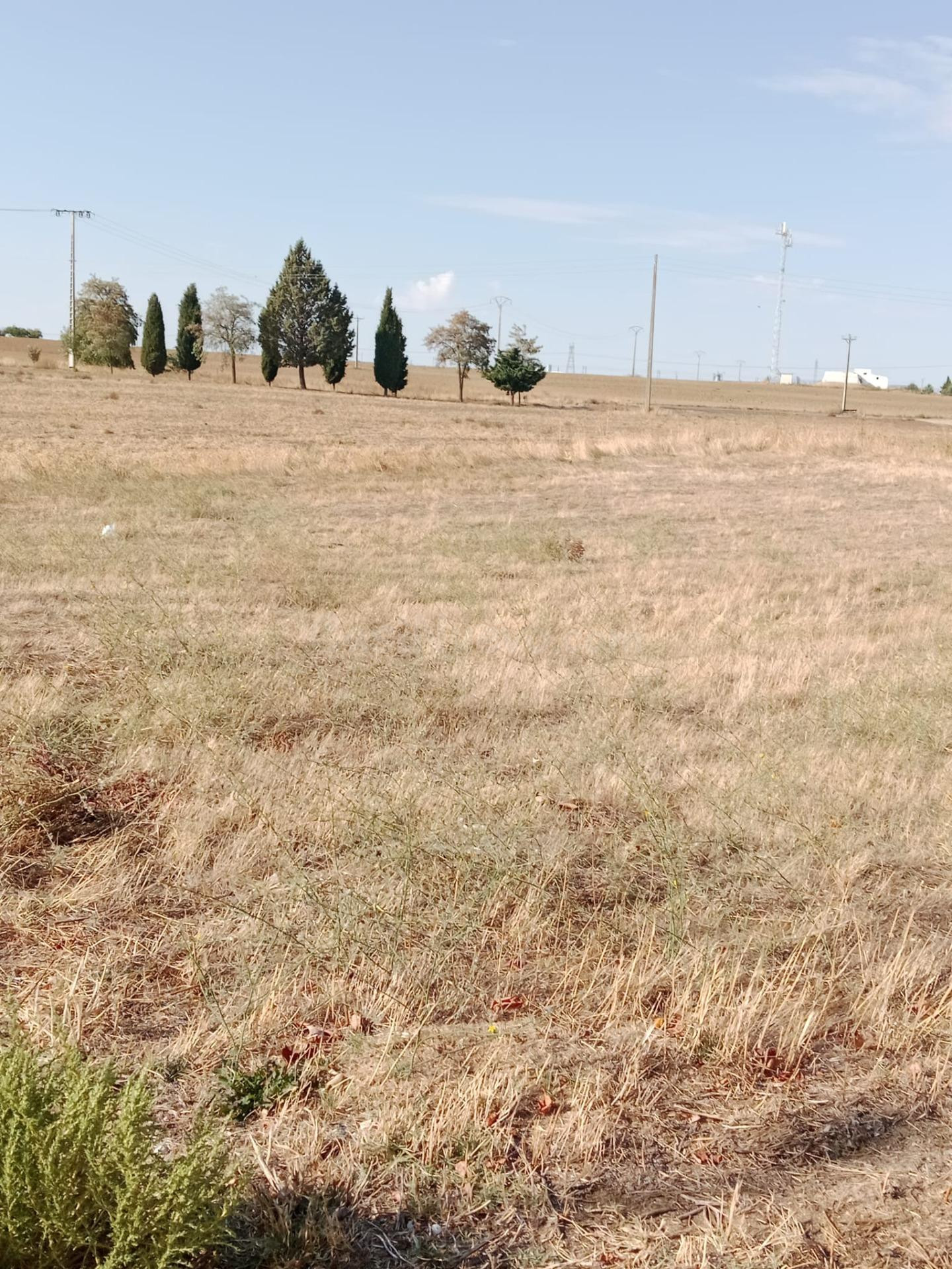 Venta de Parcela en Matapozuelos - foto 5