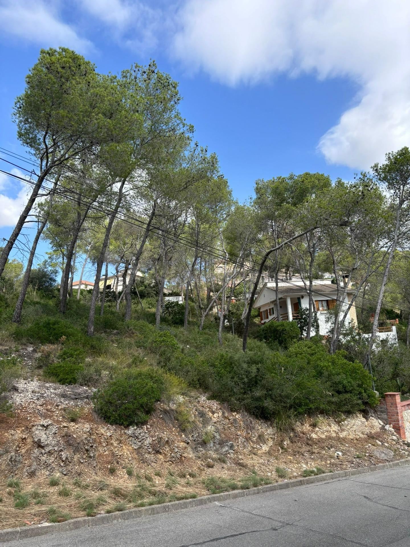 TERRENO URBANO EN VENTA EN EL GARRAF - foto 2