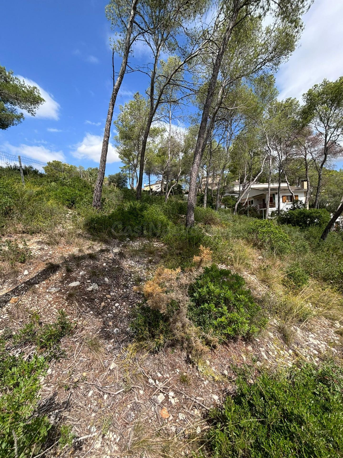 TERRENO URBANO EN VENTA EN EL GARRAF - foto 4
