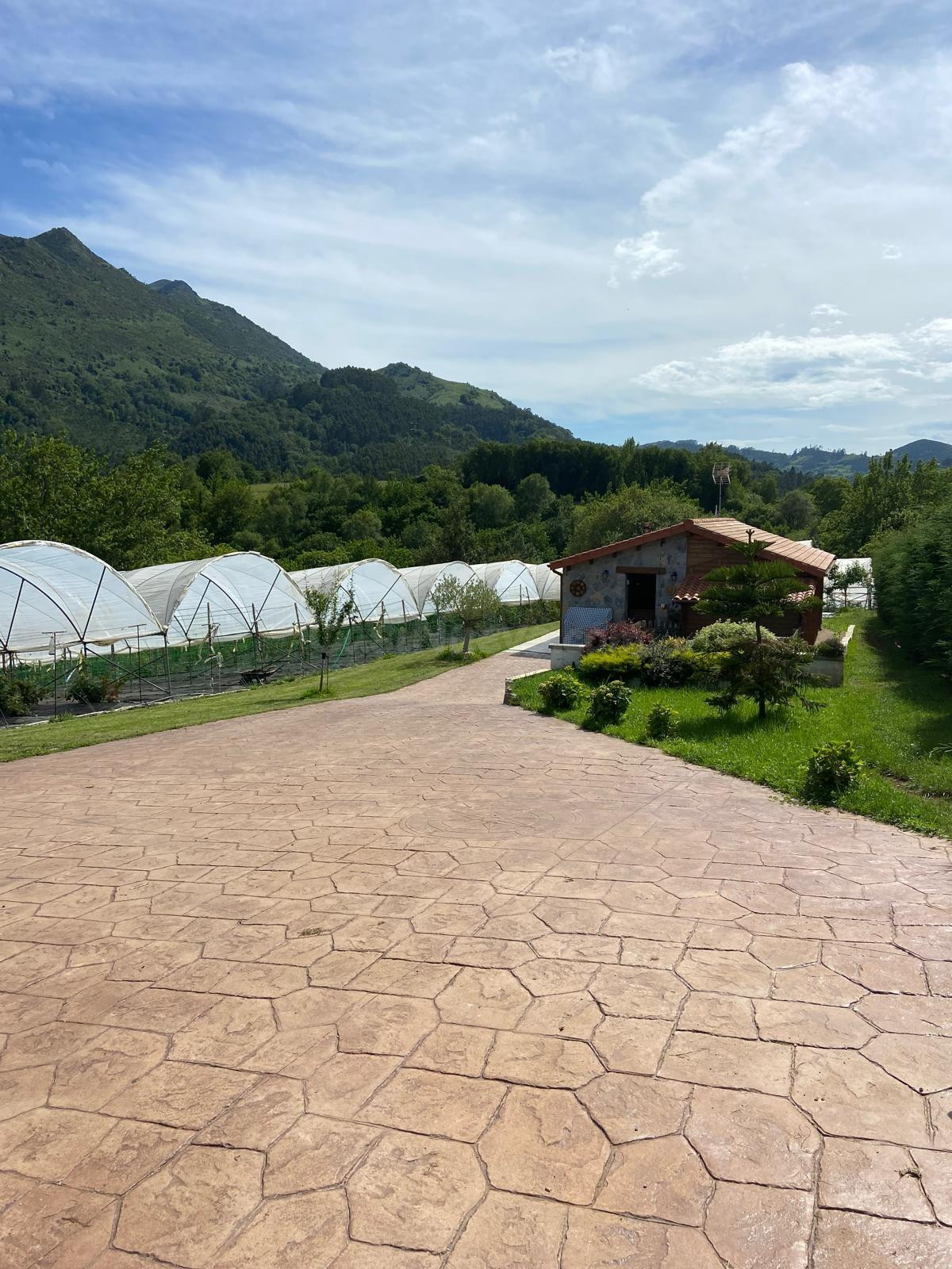 CASA-TERRENO ASTURIAS - foto 5
