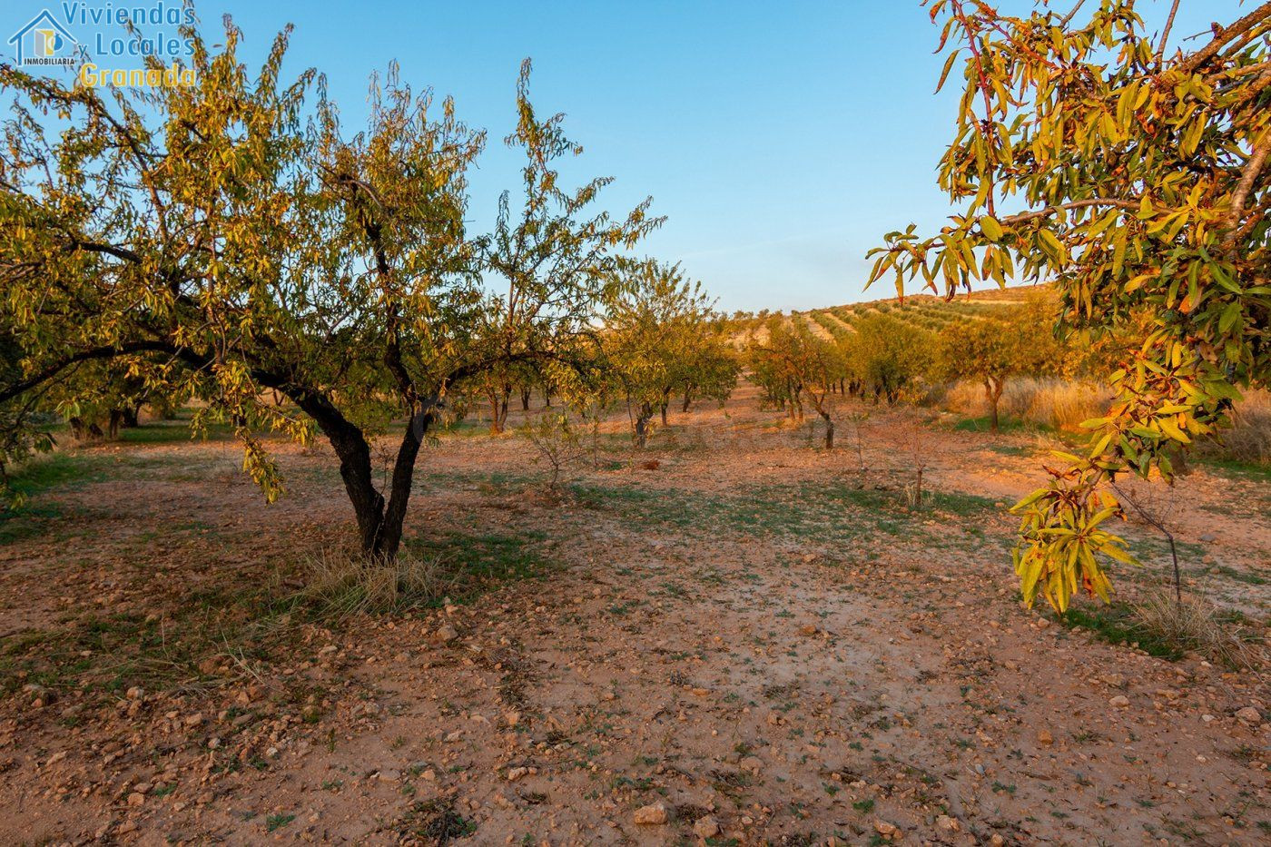 ¿Buscas un lugar de recreo a 15 min de Granada? Opción de lu - foto 2