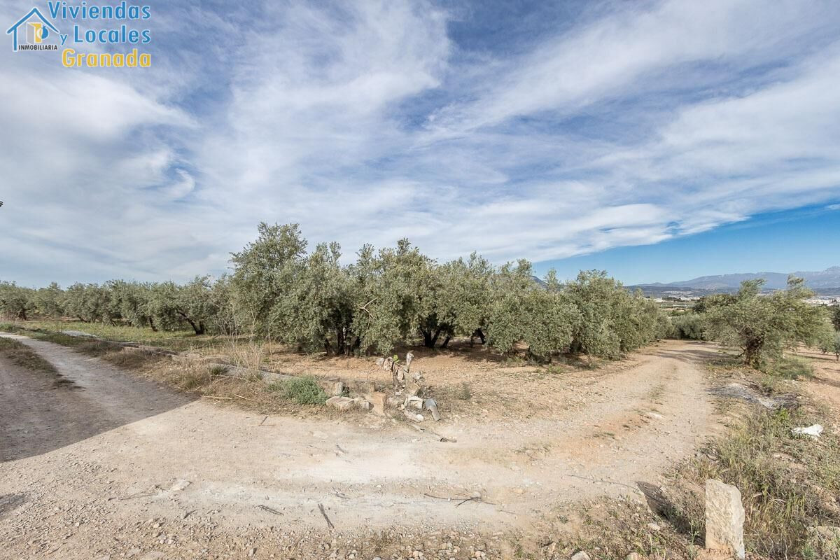 MAGNÍFICA PARCELA CERCANA A CTRA. DE URB. EL TORREÓN - foto 2